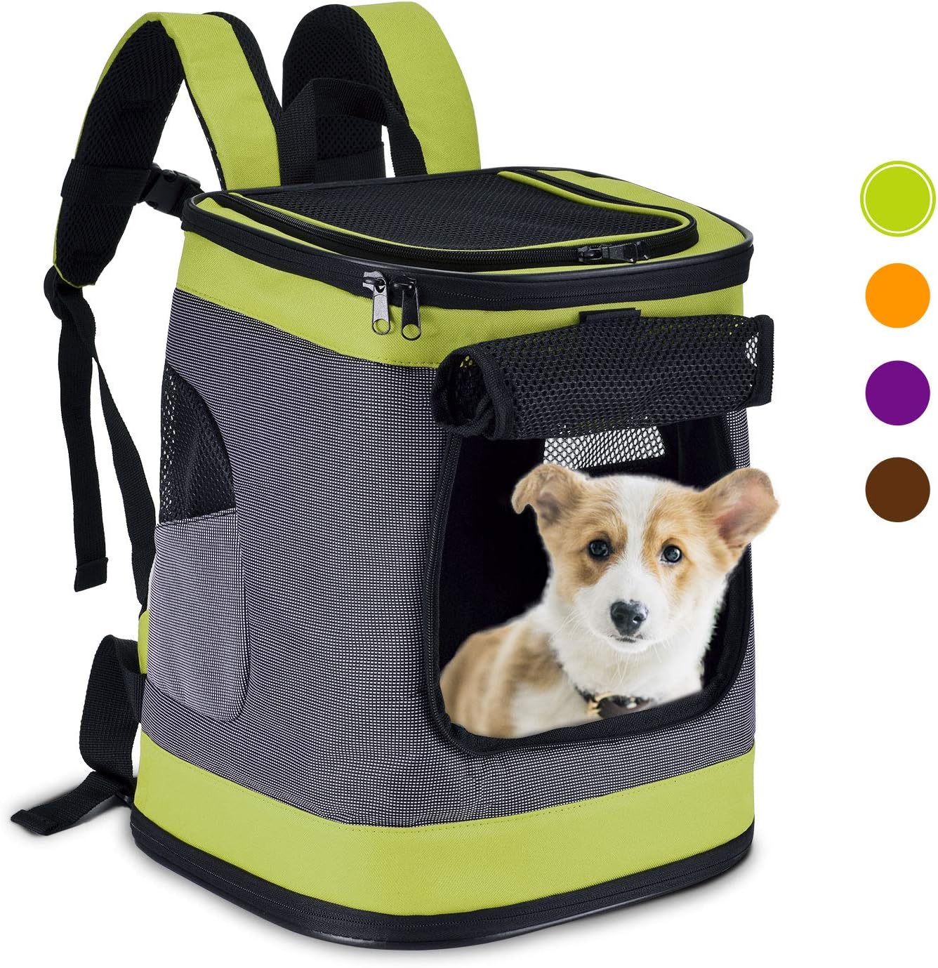 Pettom Pet Backpack Soft Sided Dog Carrier Cat Dog Shoulder Bag for Pets Outdoor Travel (Green)
