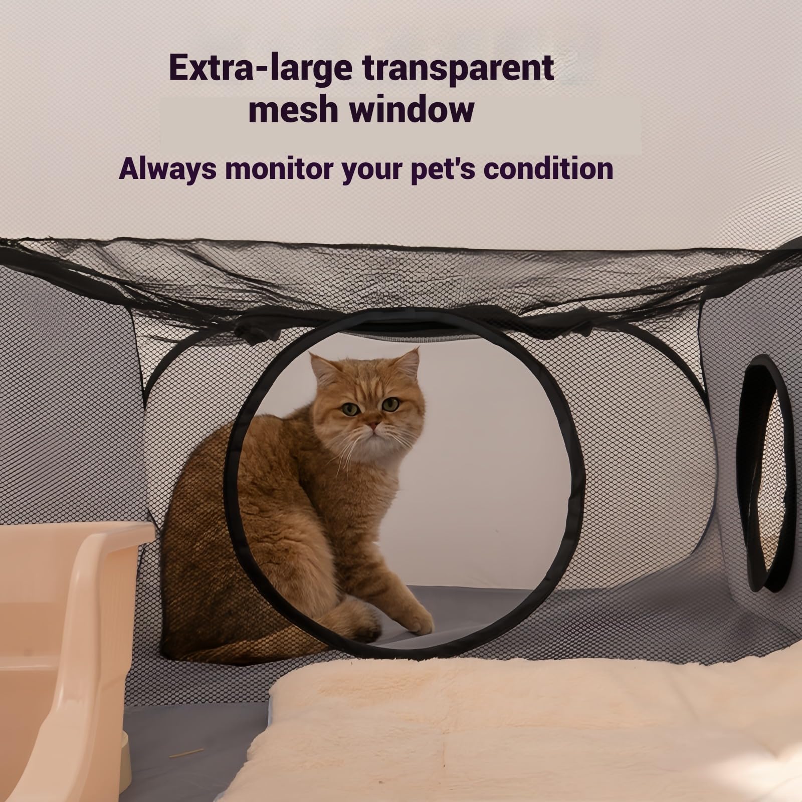 Genérico Parque para Gatos | Caseta Tienda y Corralito para Mascotas - Casa Plegable con Juguetes Interactivos Y Área De Ejercicio para Gatitos, Cachorros Y Mascotas Pequeñas En Viaje Y Exterior