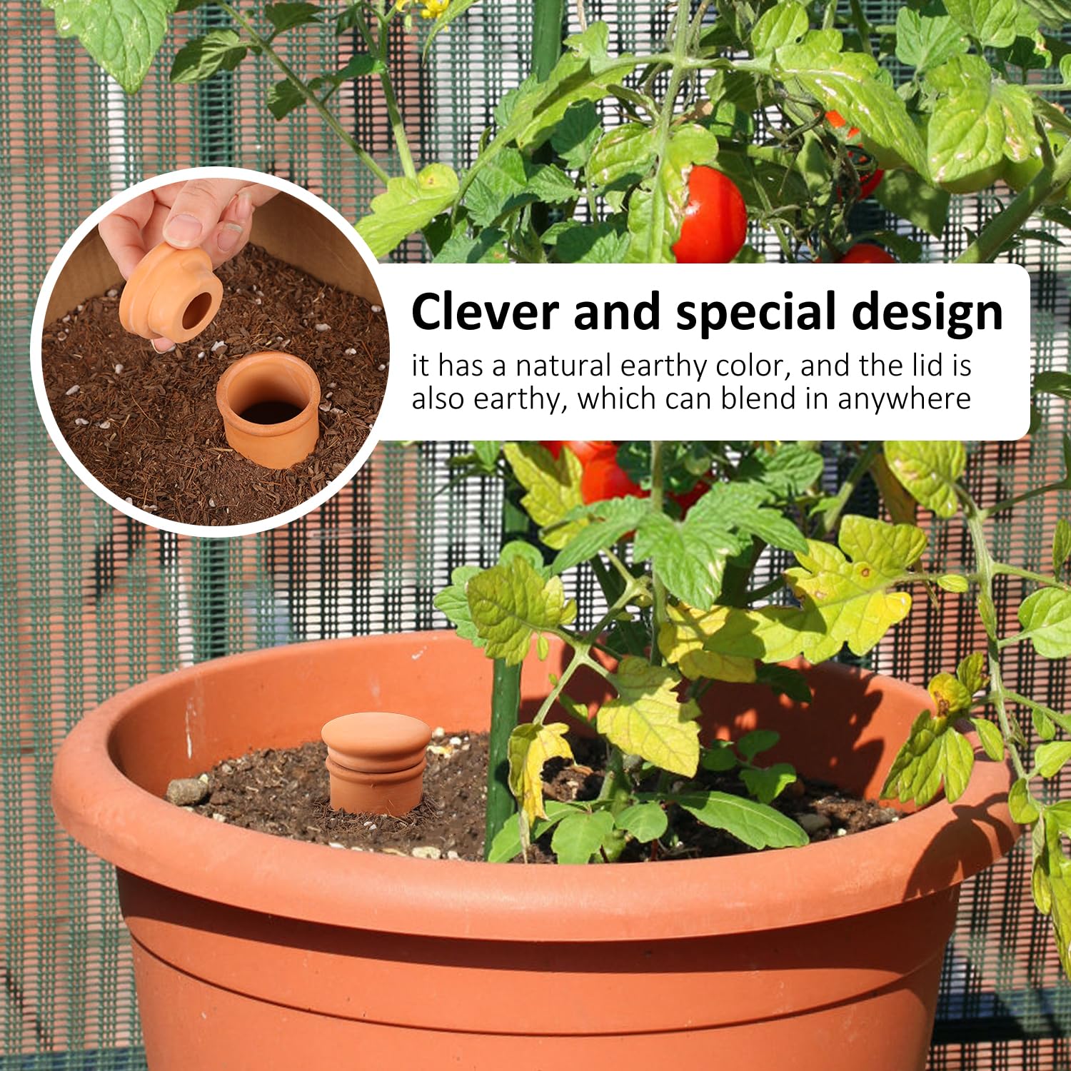 Ollas Lot de 8 Globes d'arrosage en Terre Cuite pour Plantes 7,9 x 15,2 cm