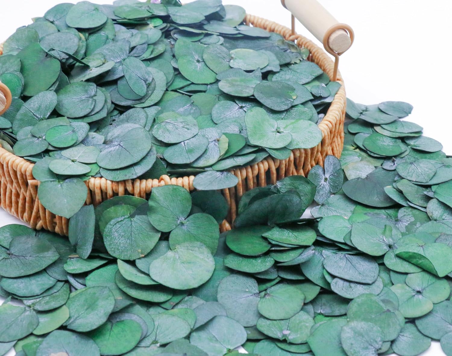 3200Preserved Real Eucalyptus Leaves Small, Pure Natural Bulk Eucalyptus, Biodegradable Wedding Leaves Confetti for Anniversaries, Birthday, Graduation, Bridal Showers, Baby Shower Party Decor