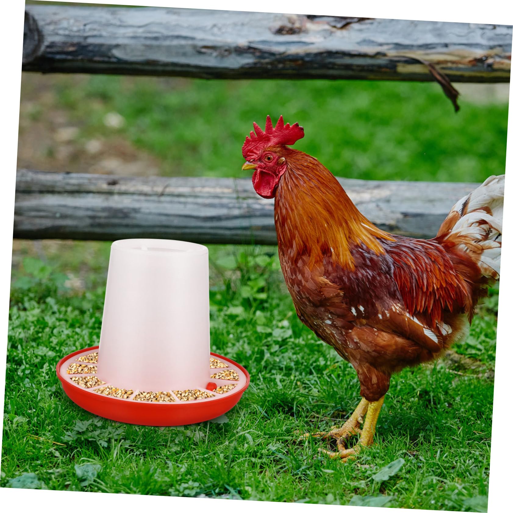 2piezas Comedero Para Gallinas y Plástico Resistente Unidades Para Jaulas De Aves Antisalpicaduras Práctico