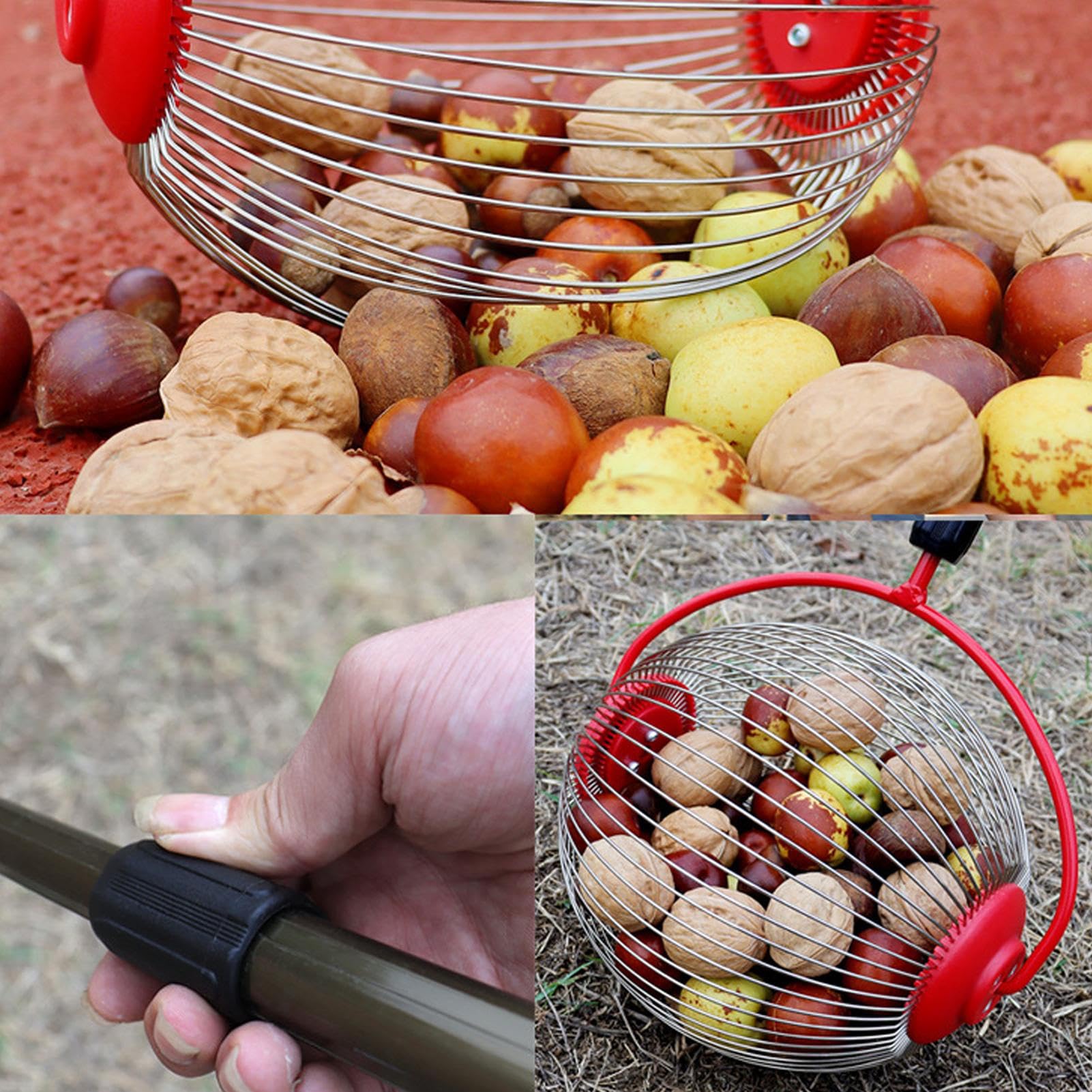 Raccogliere Noci e Frutta in Acciaio Raccoglitore di Castagne e | Noci con Manico ergonomico Strumento di Giardinaggio per la Raccolta Rapida di nocciole Marroni e Frutta Caduta