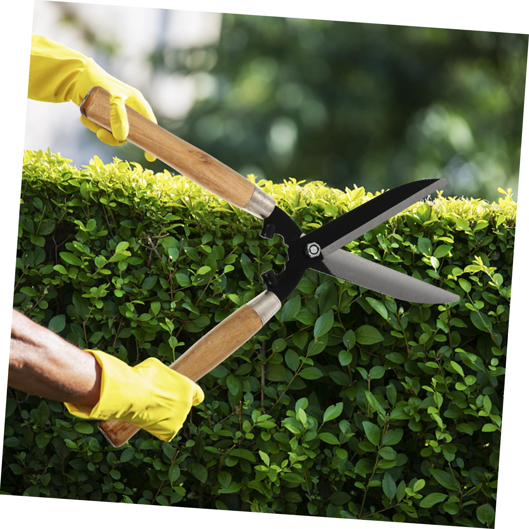 1pezzi Forbici Da Giardino Per Potatura Impugnatura in Legno Lame in Acciaio Temprato Affilate Utensili Per Innesto Per Alberi e Prato Forbici Da Siepe Ergonomiche Per Giardinaggio