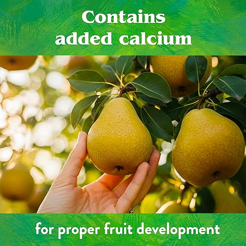 Miniatura 6 de Down to Earth Mezcla de fertilizantes orgánicos para árboles frutales 6-2-4, 50 libras