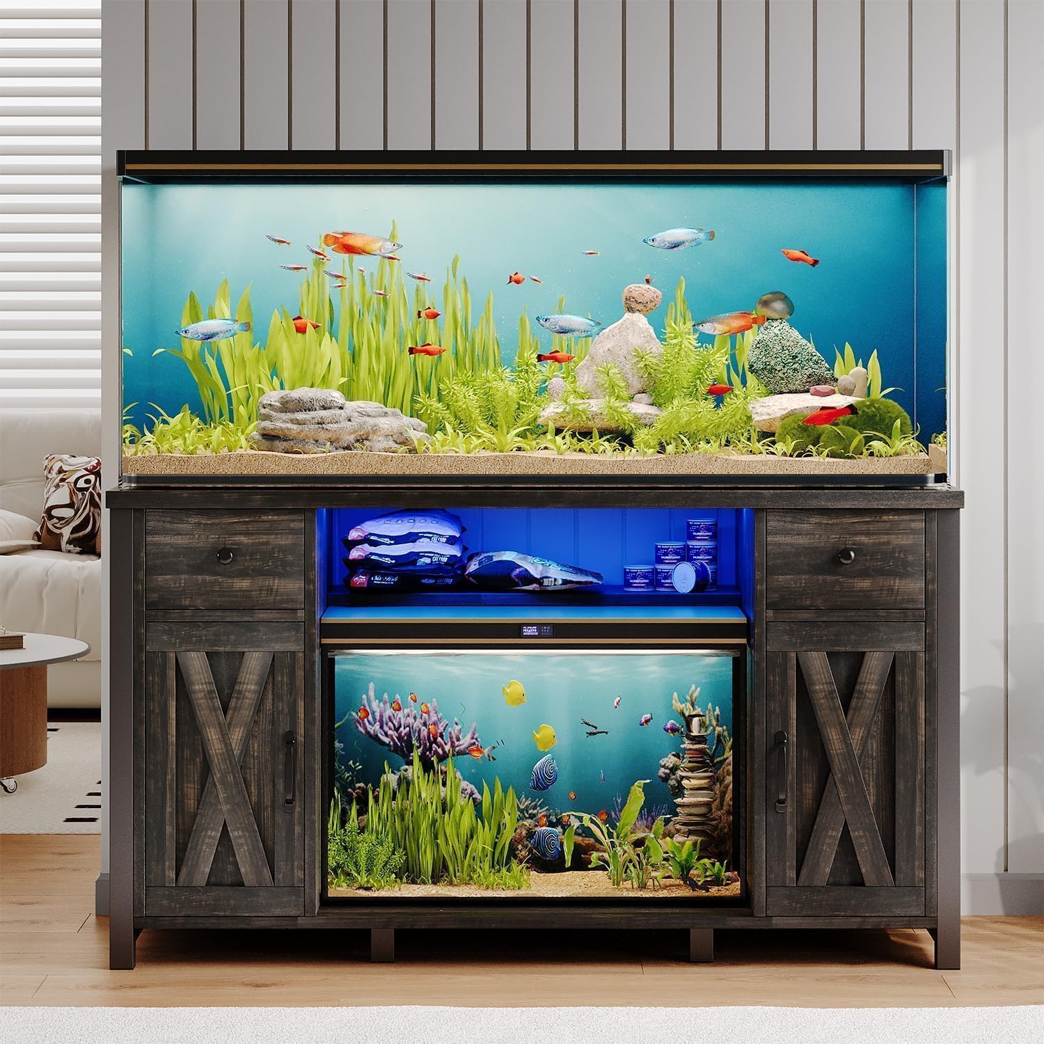75 Gallon Fish Tank Size: Ultimate Guide to Perfect Aquarium Setup
