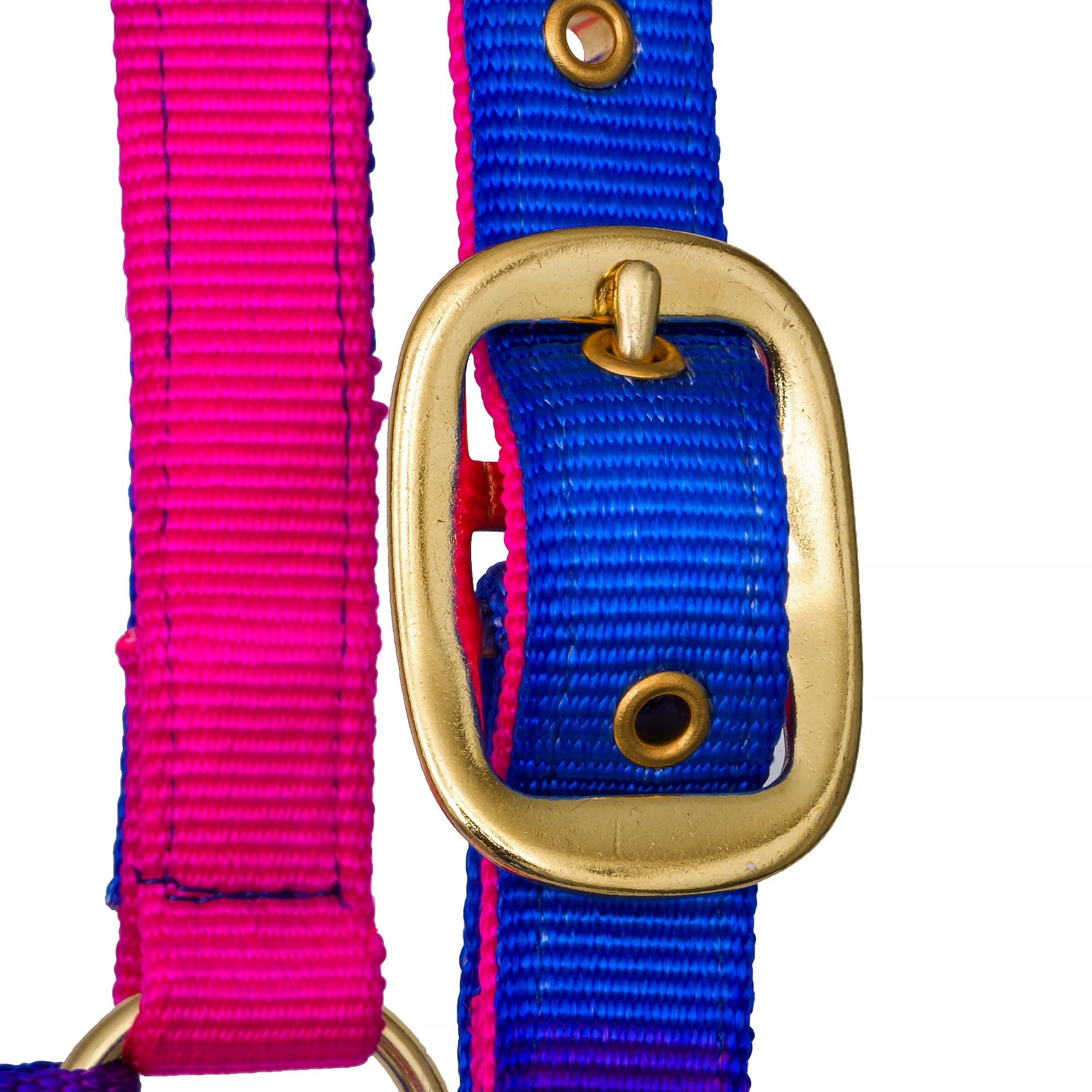 Start Halfter für Pferde – verstellbares Pferdehalfter mit Karabiner, strapazierfähig & komfortabel, Stallhalfter für Pony, Cob, Full (Warmblut) (Rosa/Violett/Blau, Cob (Vollblut))