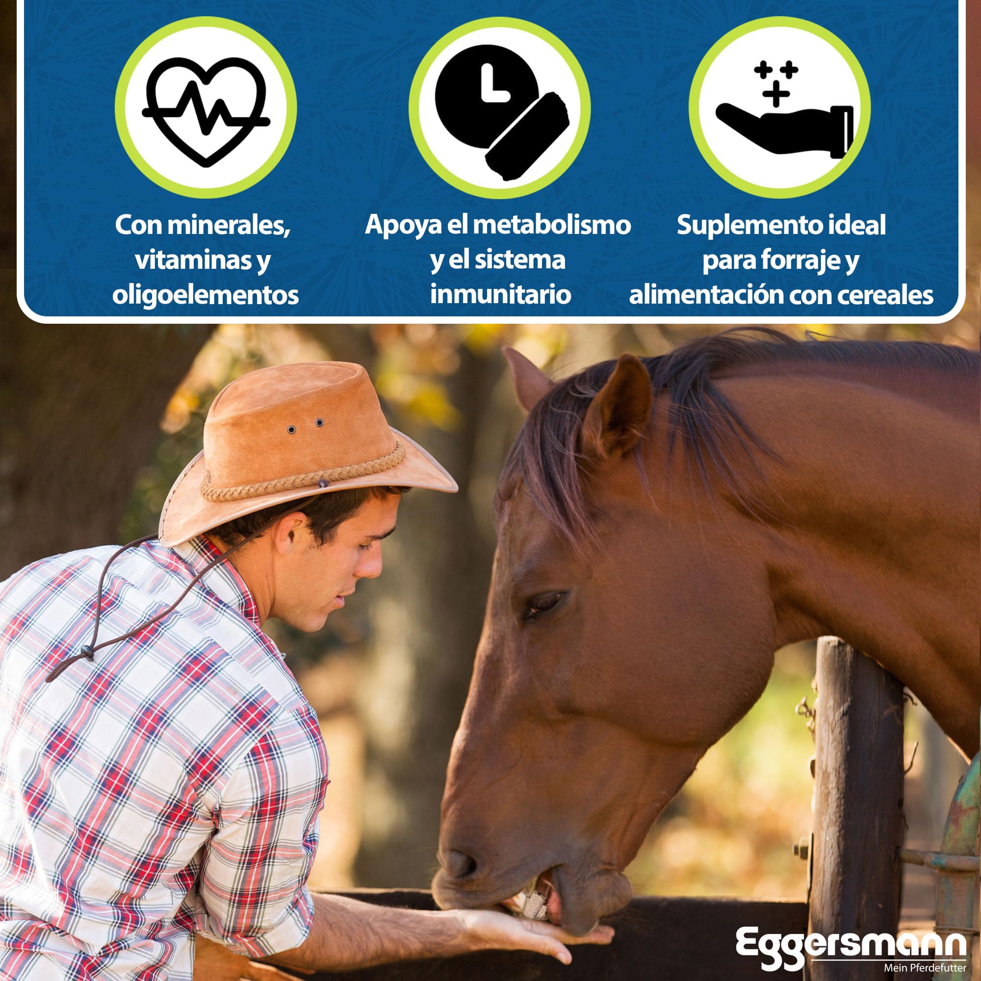 Eggersmann Mein Pferdefutter Mineral Bricks 25 kg - Alimento Mineral para Caballos - para apoyar el metabolismo y el Sistema inmunológico - Comida para Caballos con minerales y vitaminas