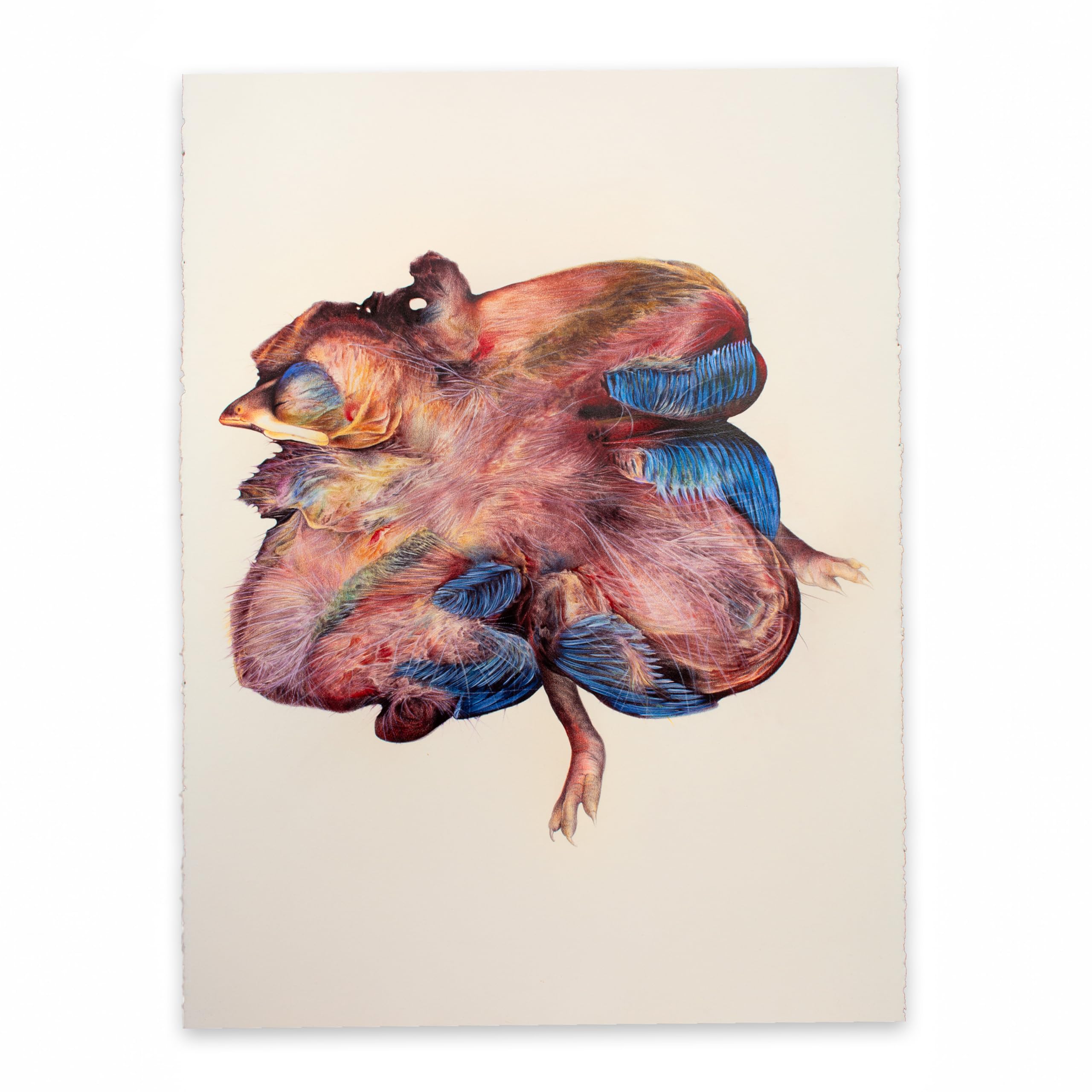 Blooming Original Fine Art Drawing Nature-Inspired Handmade Artwork by Lisyanet Rodriguez Colored Pencil on Paper 30 x 23