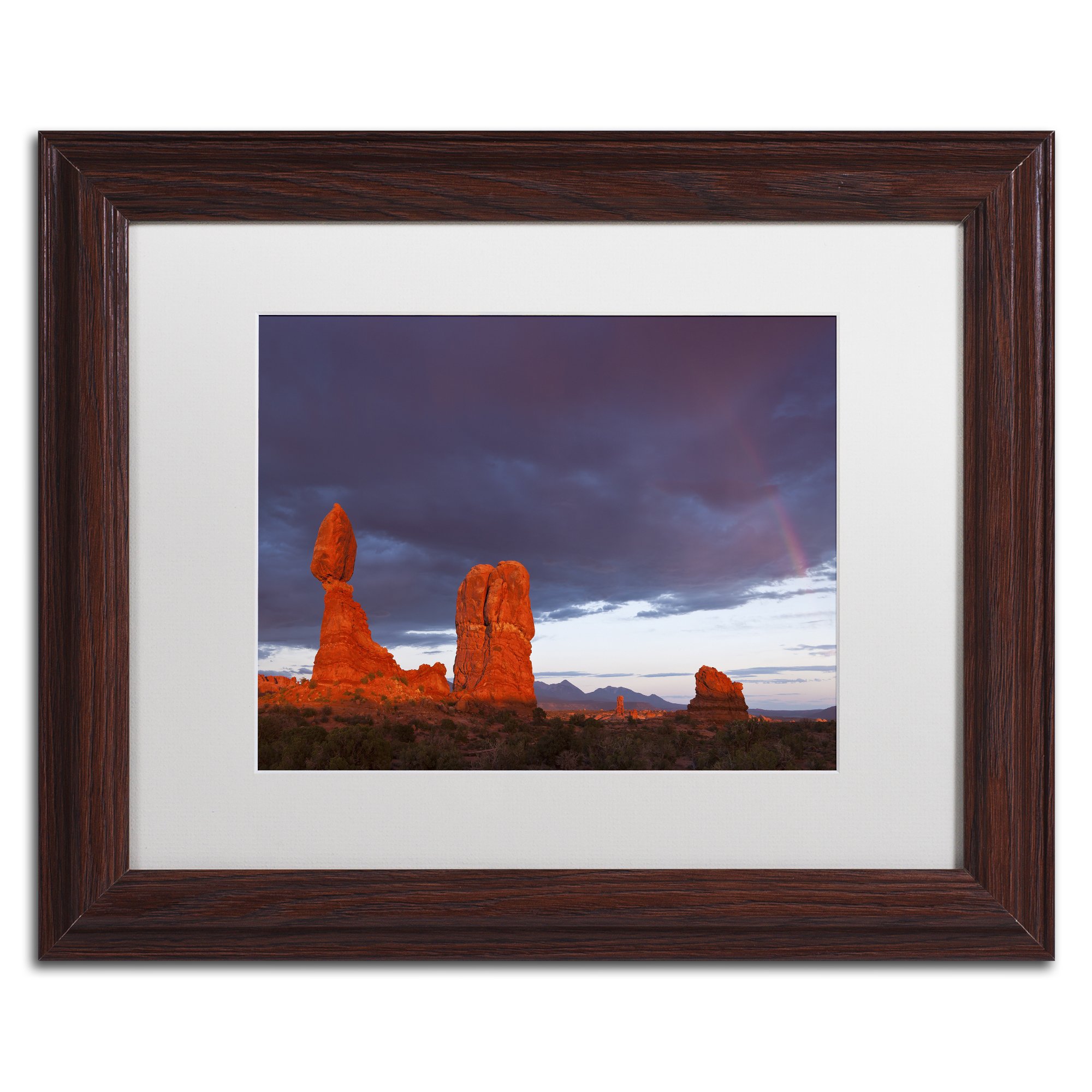 "Storm Aftermath" by Michael Blanchette Photography Artwork with Wood Frame, 11" x 14", White Matte
