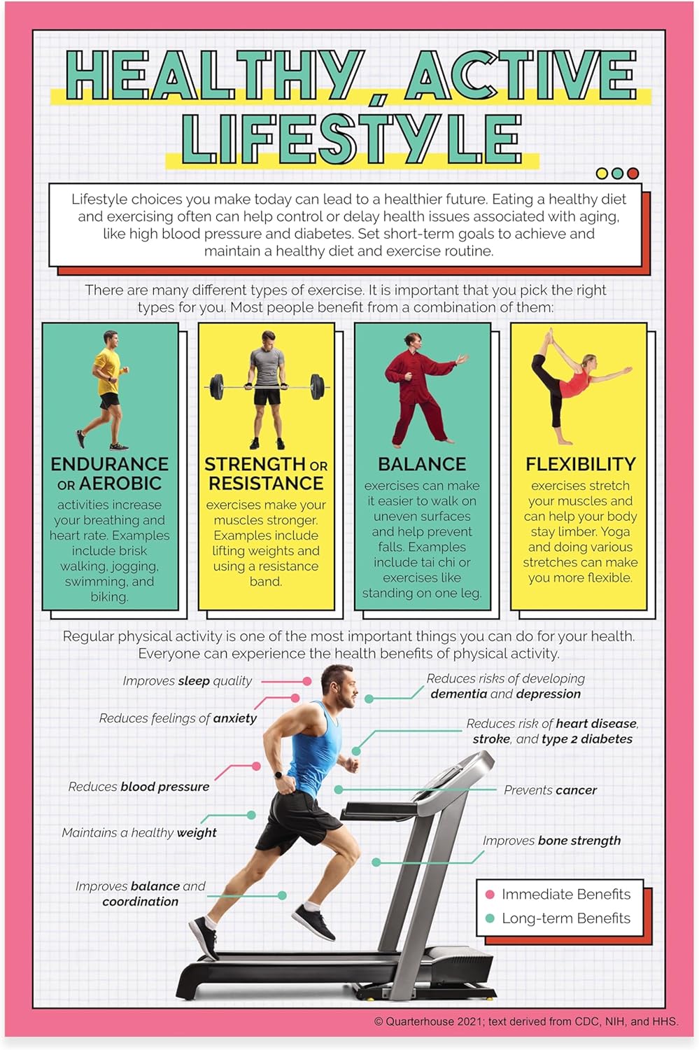 Quarterhouse 5 Poster Healthy Lifestyles Set, Health Classroom Learning Materials for K-12 Students and Teachers, 12 x 18 Inches, Made in USA