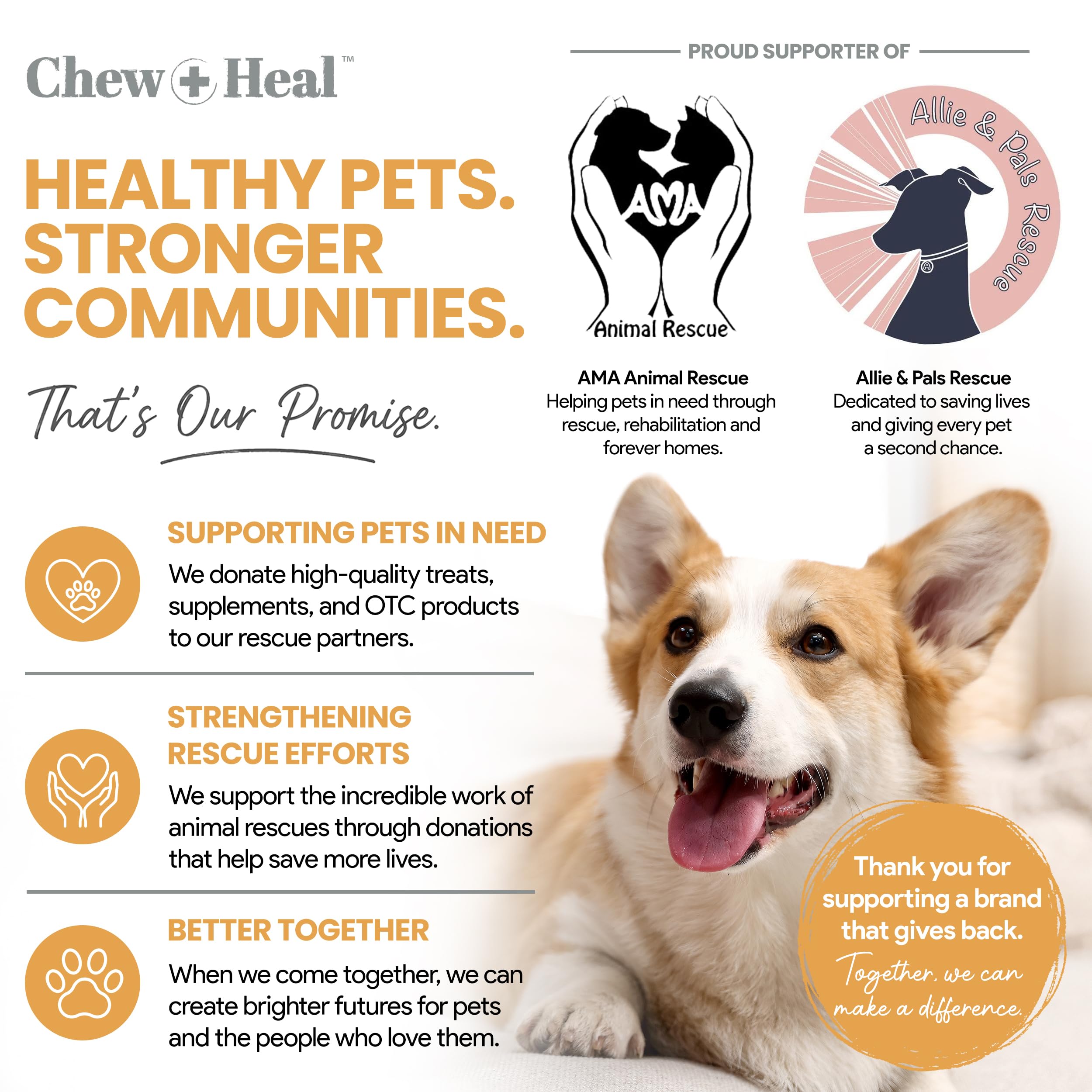 Chew + Heal Labs Lachsöl für Hunde - 60 weiche Kau-Omega-Leckereien für Haut und Fell - Fischölmischung aus ätherischen Fettsäuren, Omega 3, 6 und 9, Vitamine, Antioxidantien und Mineralstoffe