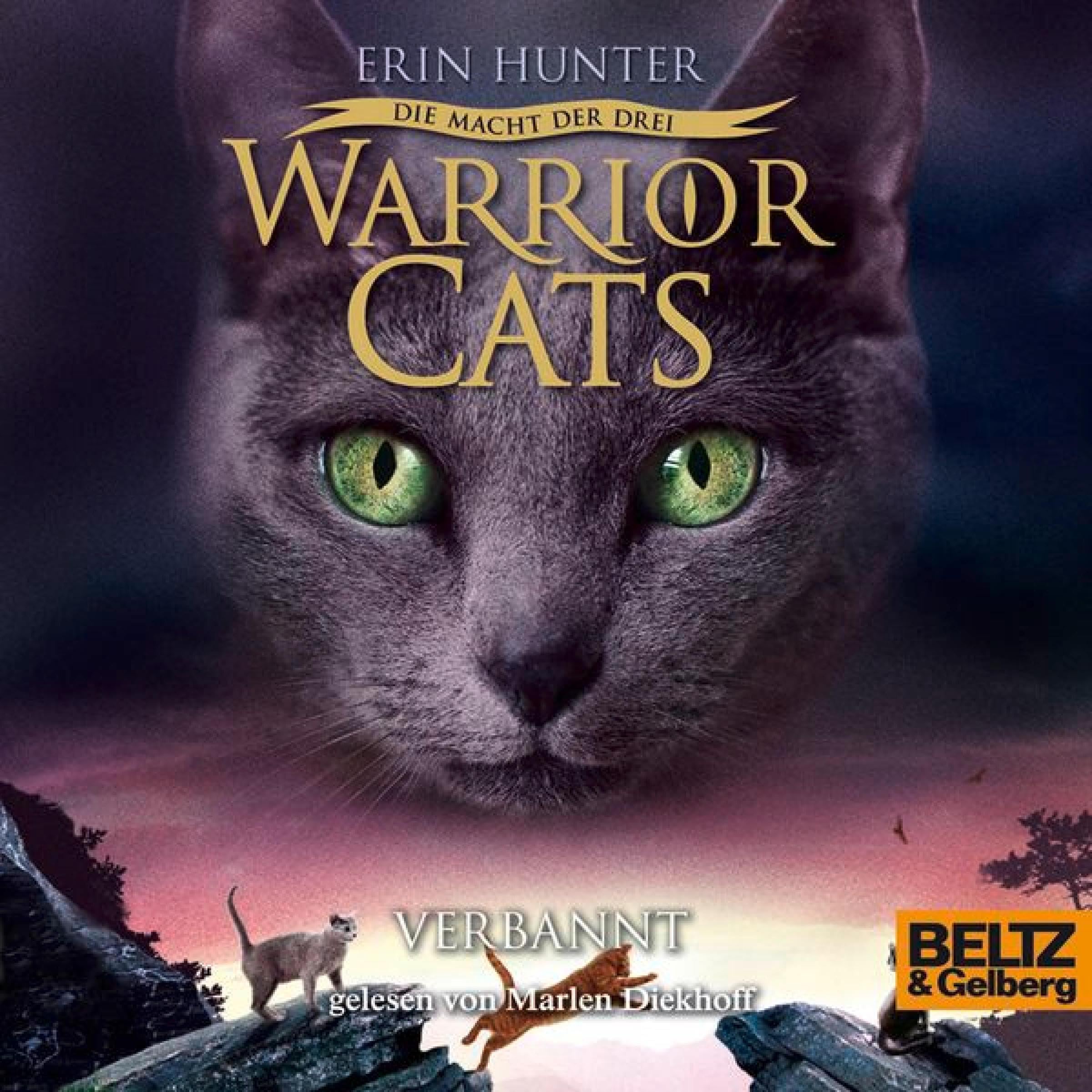Cover art for Verbannt
