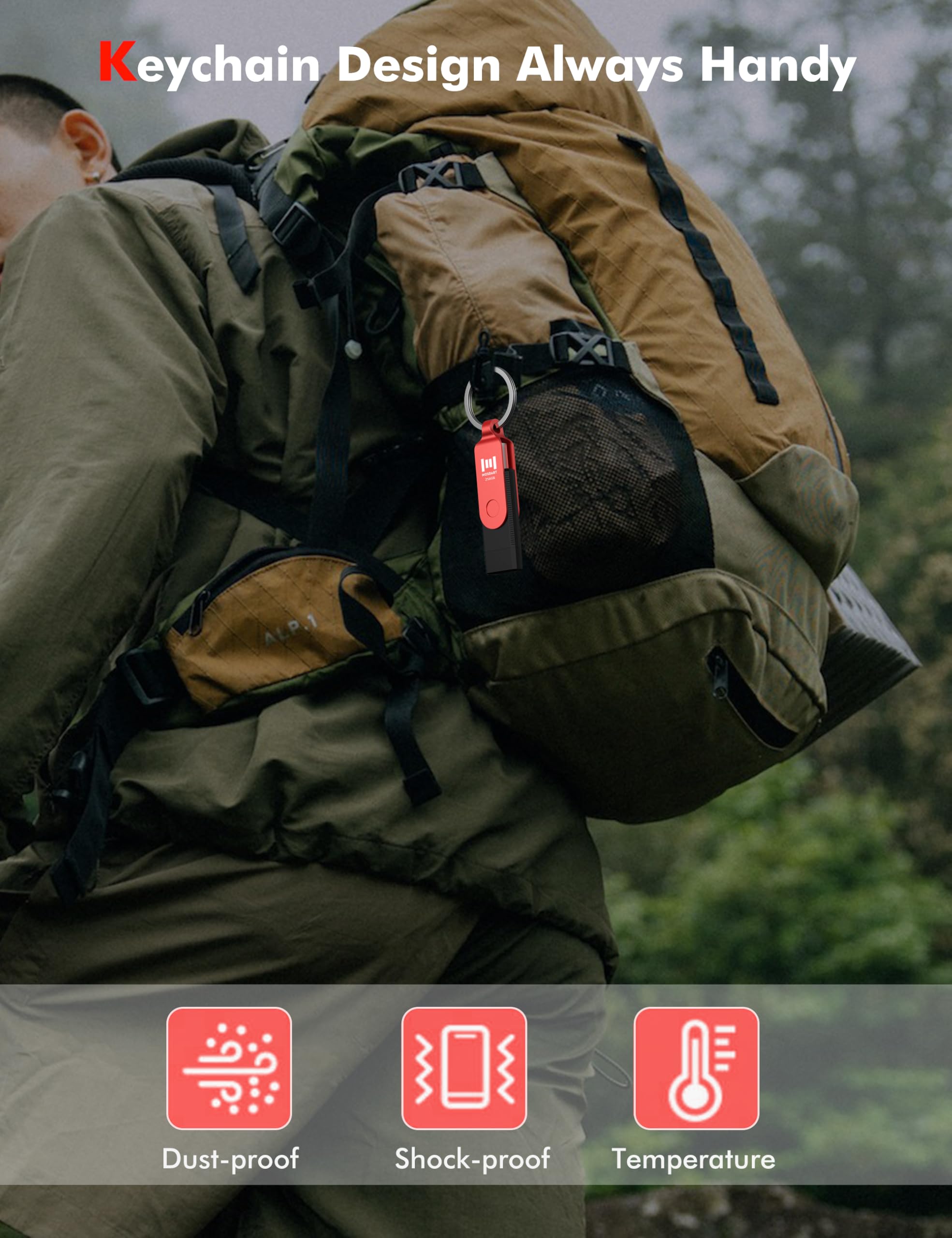 MOSDART ExFAT - Memoria USB 3.1 de 256 GB de velocidad rápida C y una unidad flash dual, con llavero e indicador LED, para iPhone 15 y 16, teléfono Android, iPad, MacBook y otros portátiles, color