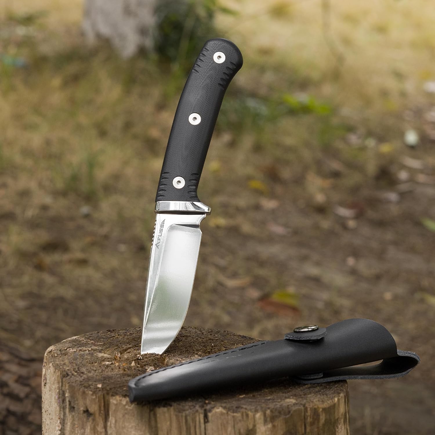FLISSA Fixed Blade Knife with 3.7" Mirror Polished 14C28N Steel Blade, G10 Handle, Leather Sheath for EDC, Hiking, Camping, Fishing, Survival, for Men Women