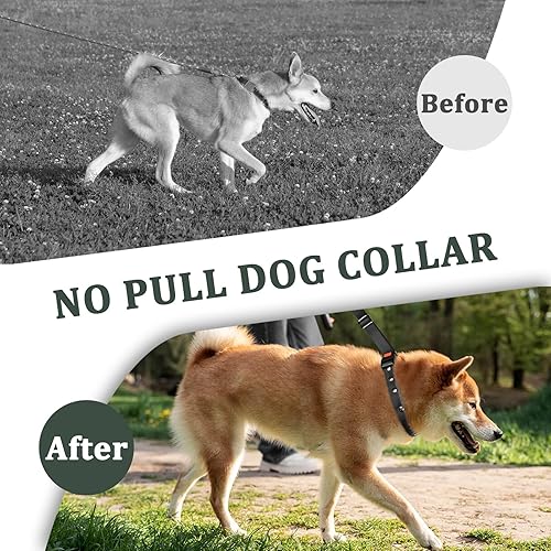 Miniatura 6 de Mayerzon Collar Martingale para perros, collar de perro antitirones para razas pequeñas, medianas y grandes, collar de perro antitirones para