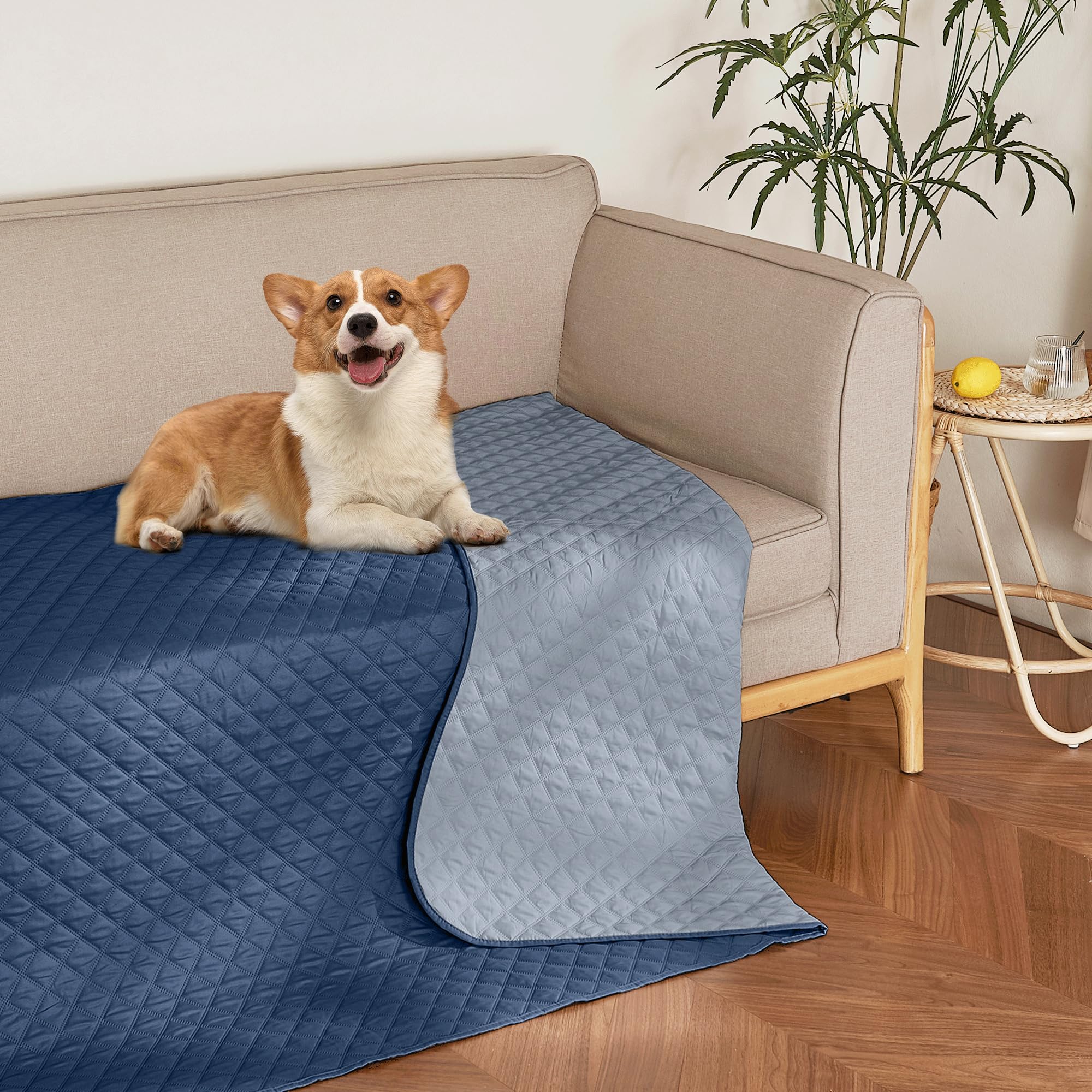 Amazon.com : NICETOWN Waterproof Throw Blanket for Dogs & Indoor