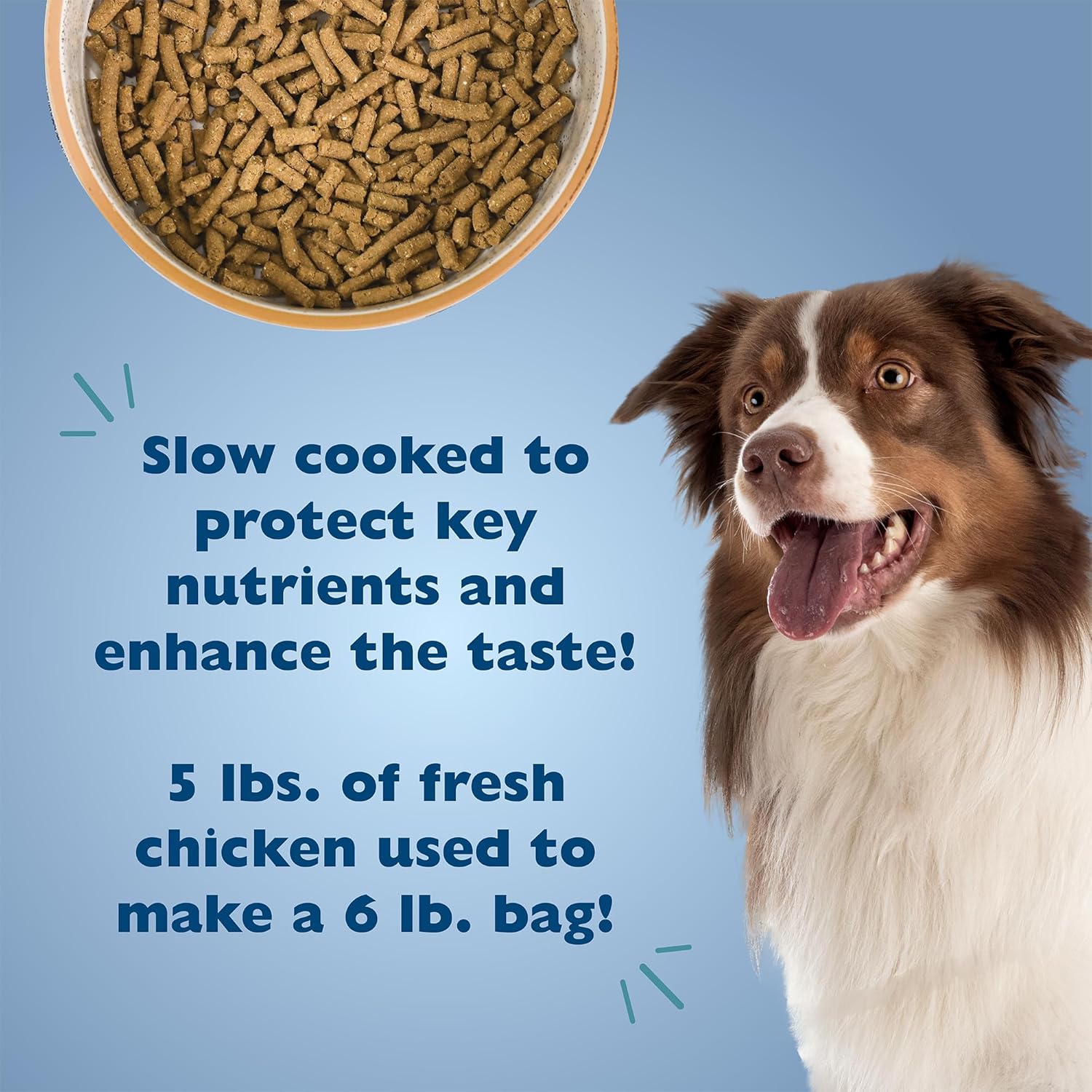 Bil-Jac Adult Select Formula Dry Dog Food, All Breed, Made with Real Chicken, 6lb (2-Pack)