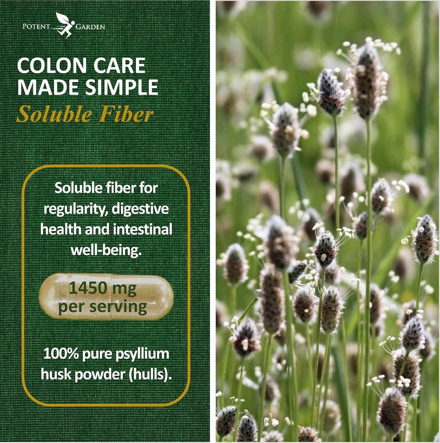 Potent Garden Psyllium Husk Capsules All Natural & Powerful Soluble Dietary Fiber Supplement Helps Support Regularity & Digestion, 240 Caps - Image 2