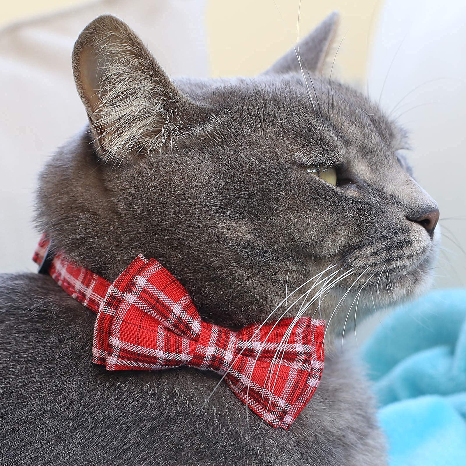 Cat Collar Breakaway BowTie and Bell with Adjustable collar Bell, Safe Durable, Removable BowTie, Great for kittens, cats, and small dogs (Red and White lines, Single)