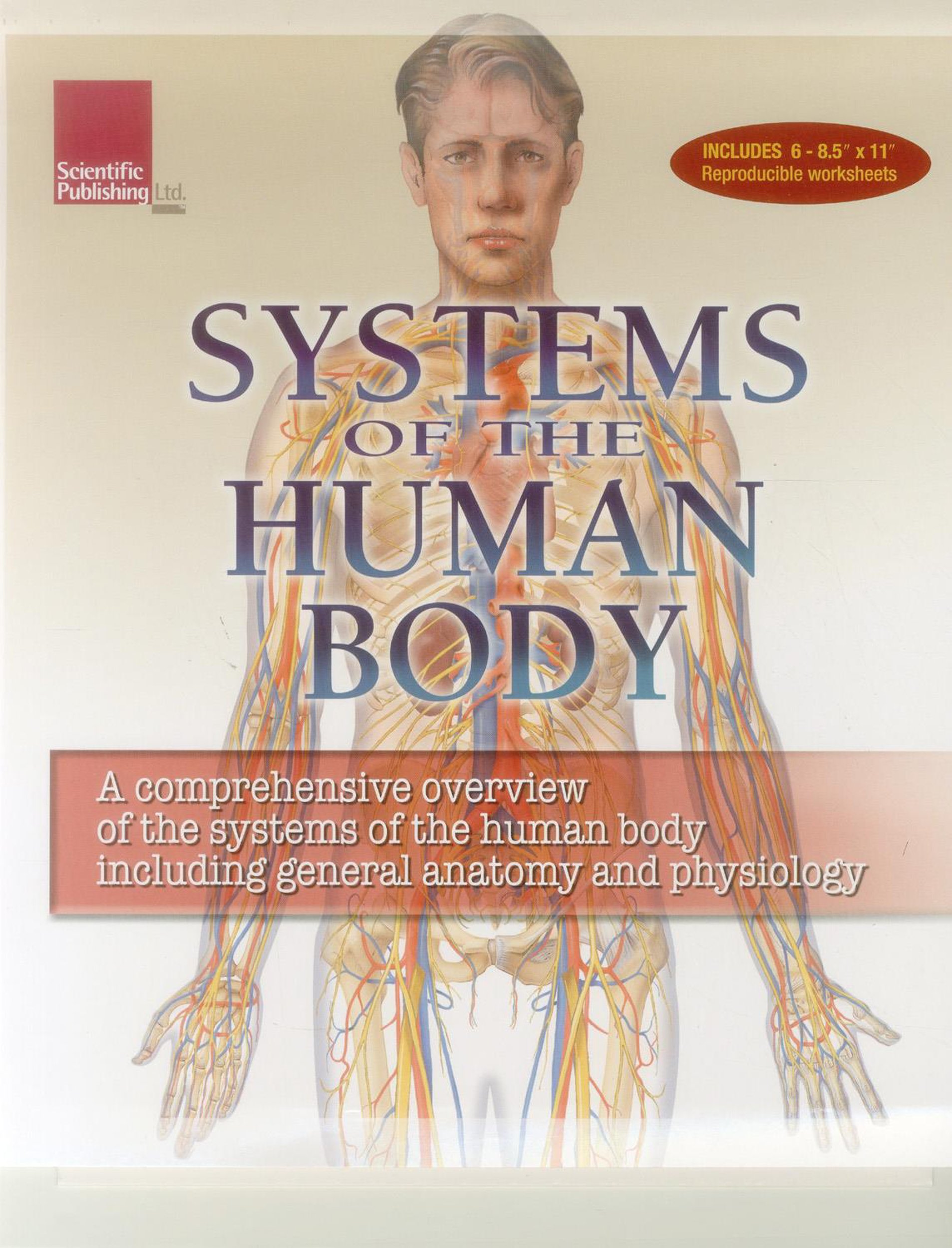 Human Body Systems Flip Chart Wall Chart – Import, 3 July 2013