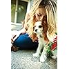 Product Photo 5