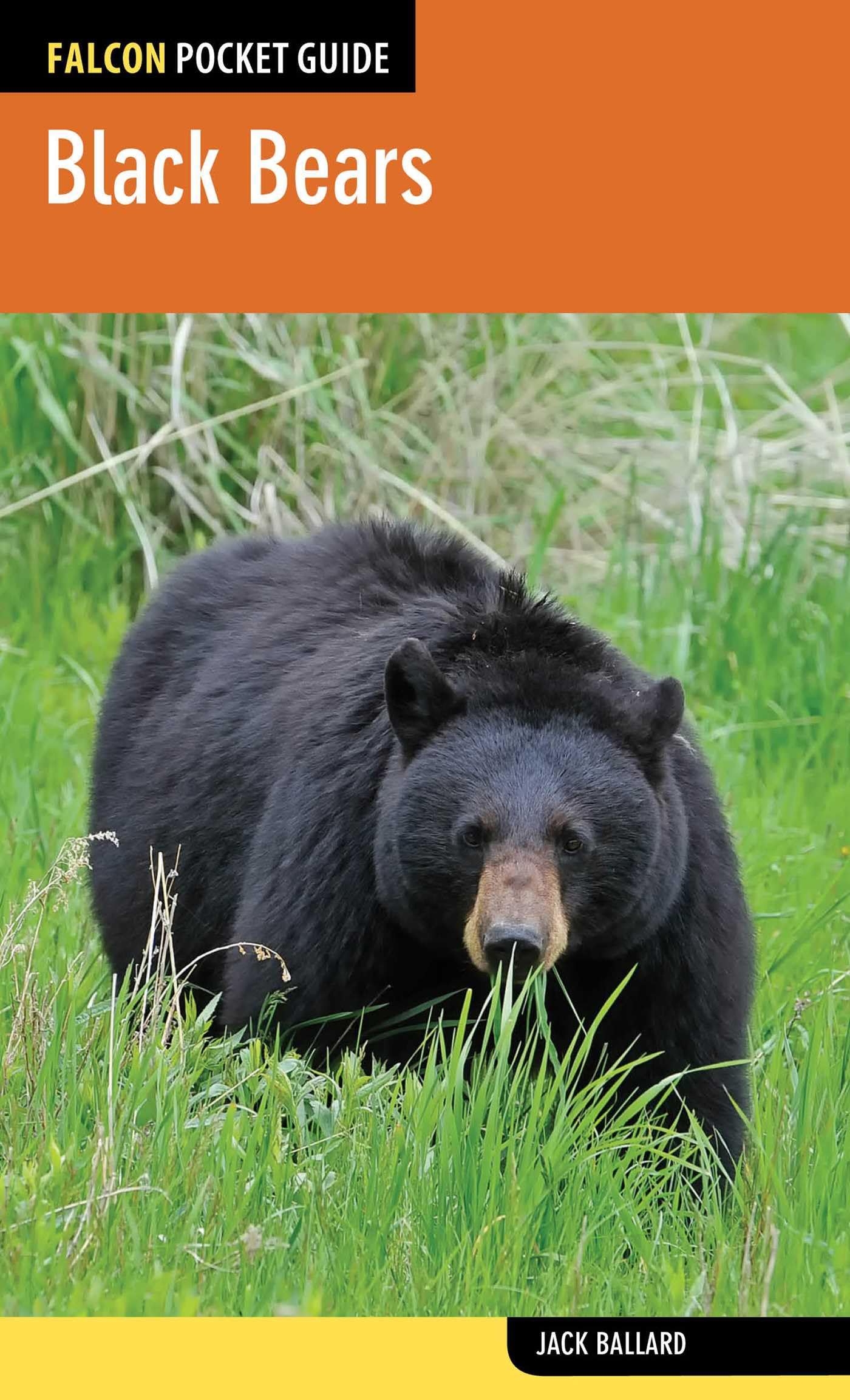 Buy Black Bears (Falcon Pocket Guides) — BookShops.in