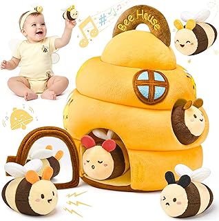 Baby Toys 6-12 Months