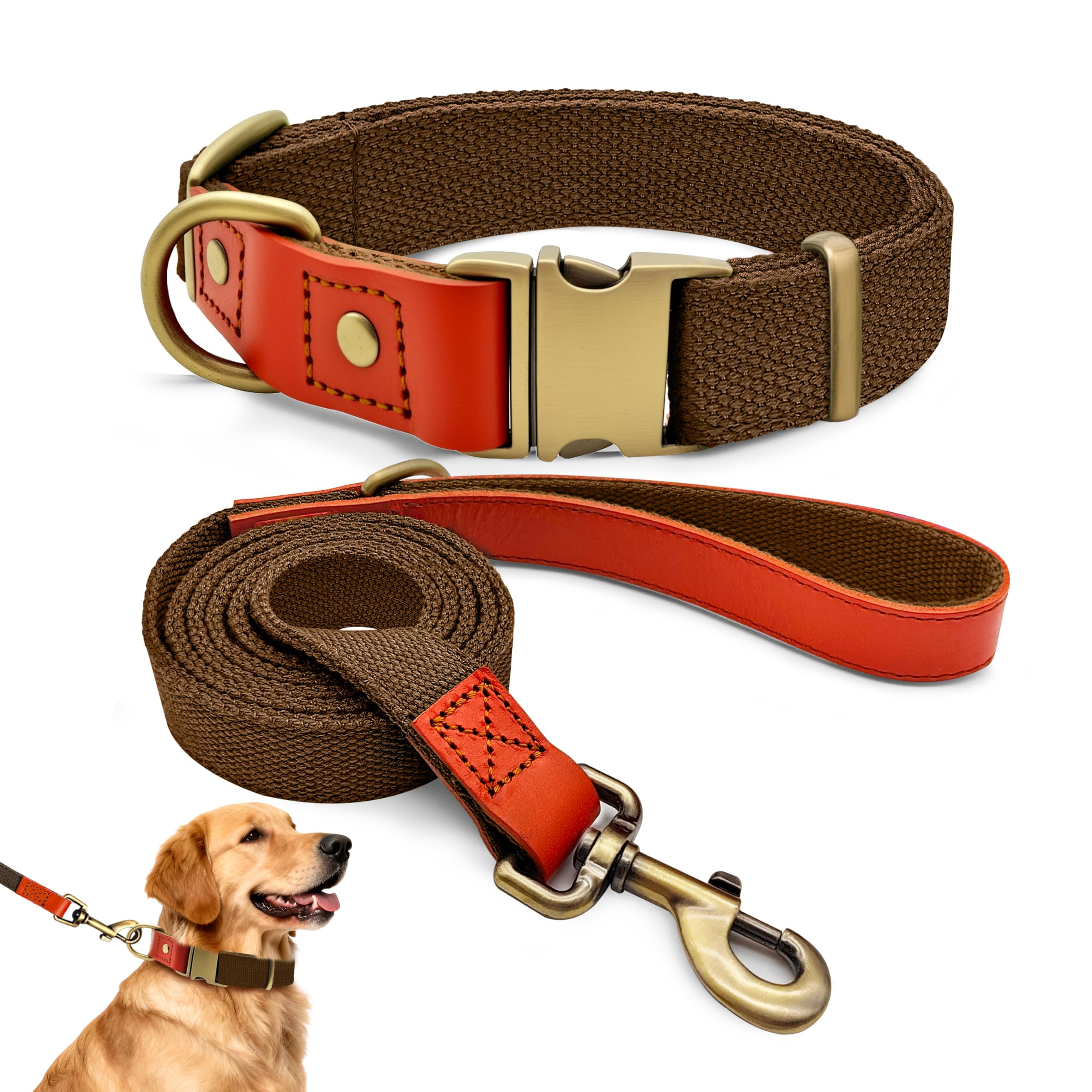 Ensemble laisse et collier réglables pour chien finitions premium marron