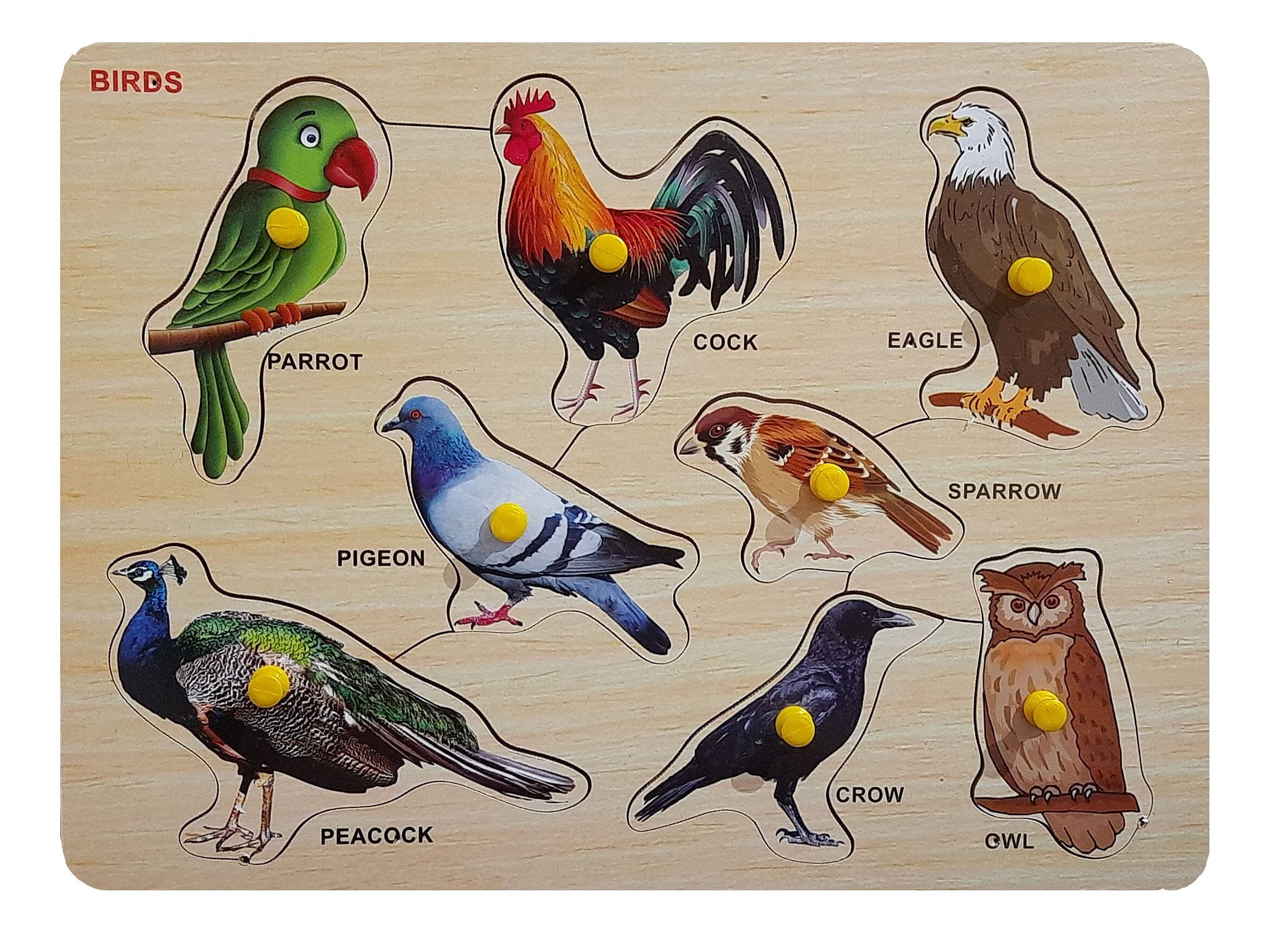Vyonald Trading Wooden Educational Colorful Birds Puzzle Game for Kids (B09B18PBVV) Amazon Price History, Amazon Price Tracker