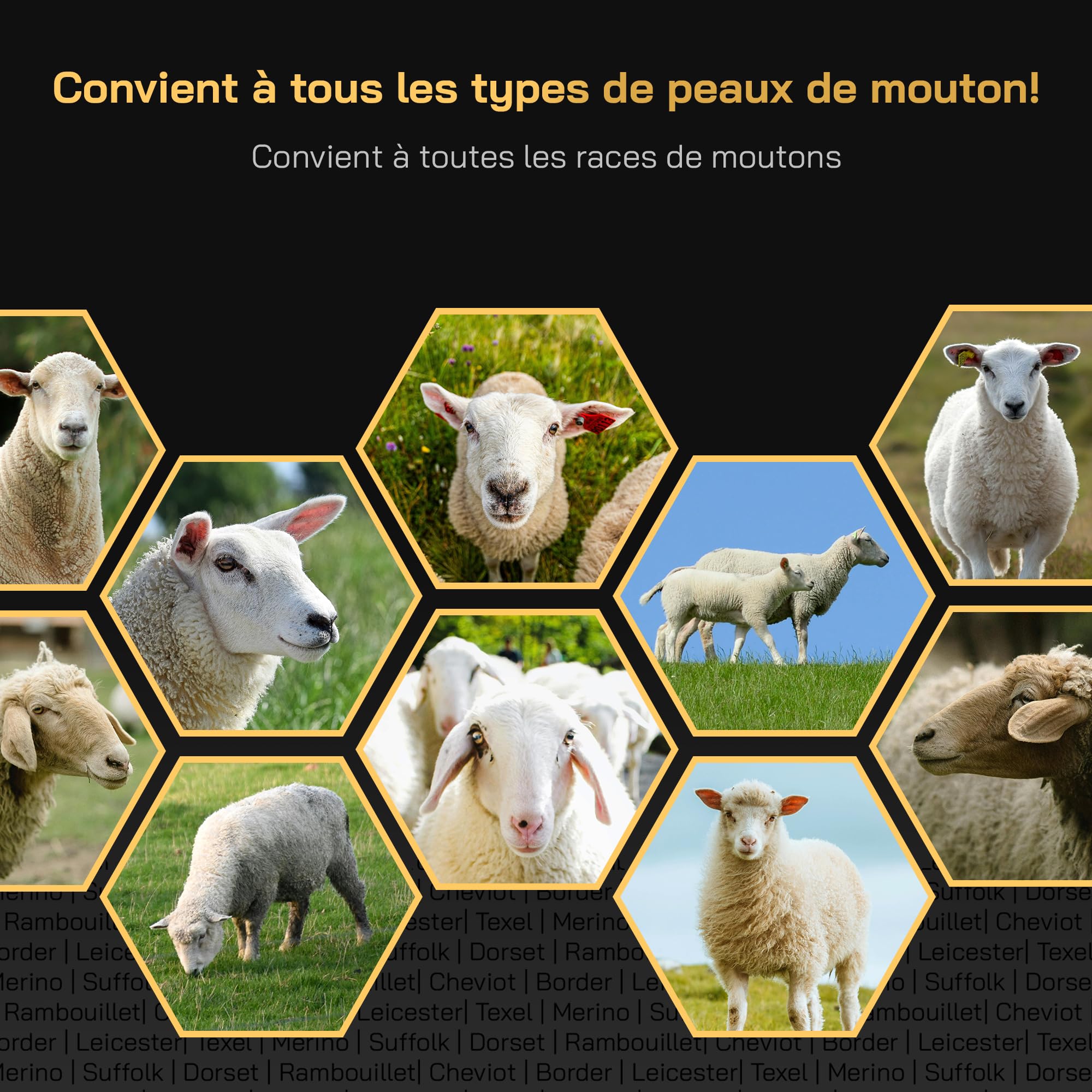 KNEIZER Tondeuse Électrique pour Moutons Kit Complet Lames Remplaçables Moteur Puissant
