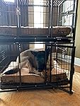 Review Image by Amazon Customer