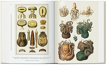 Seba. Cabinet of Natural Curiosities. 45th Ed. (45th Edition