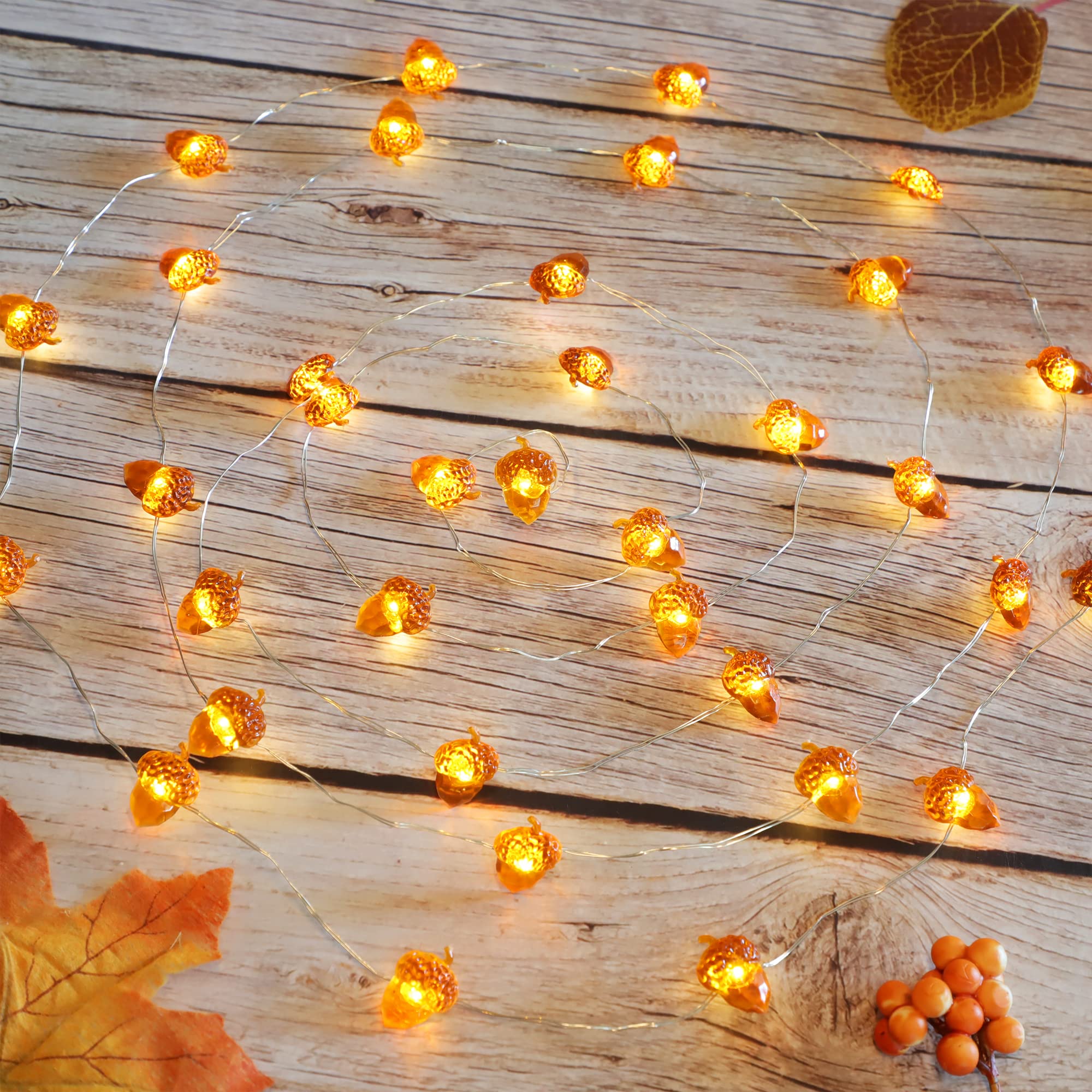 GORGE MOMENTGORGE MOMENT String Lights Fall 10ft 40 LED Mini Acorns Harvest Autumn Indoor Decor Warm Light 8 Modes DIM + - Remote Timer USB 3 AA Batteries Powered Winter Ornaments Birthday Gift Porch Window Home