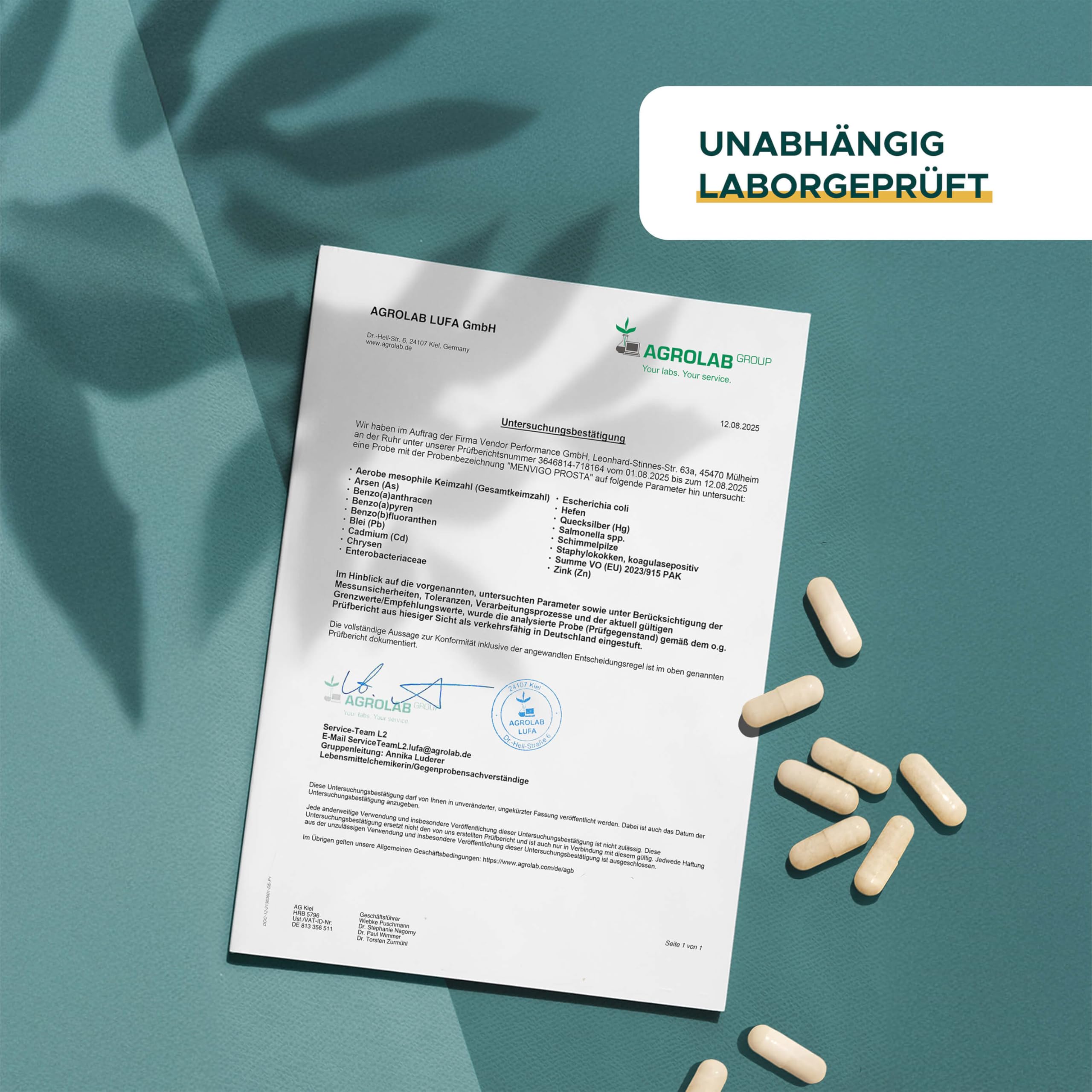 Prosta Komplex hochdosiert - Einzigartige Formel mit Kürbiskern Extrakt, Sägepalme Extrakt, Granatapfel Extrakt, jap. Schnurbaum Extrakt, Vitamin E, Zink & Selen