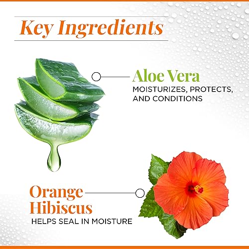 Miniatura 3 de CHI CurlyCare - Champú para rizos de 25 onzas líquidas, fórmula suave hidrata los rizos, reduce el encrespamiento mientras mantiene la forma de los