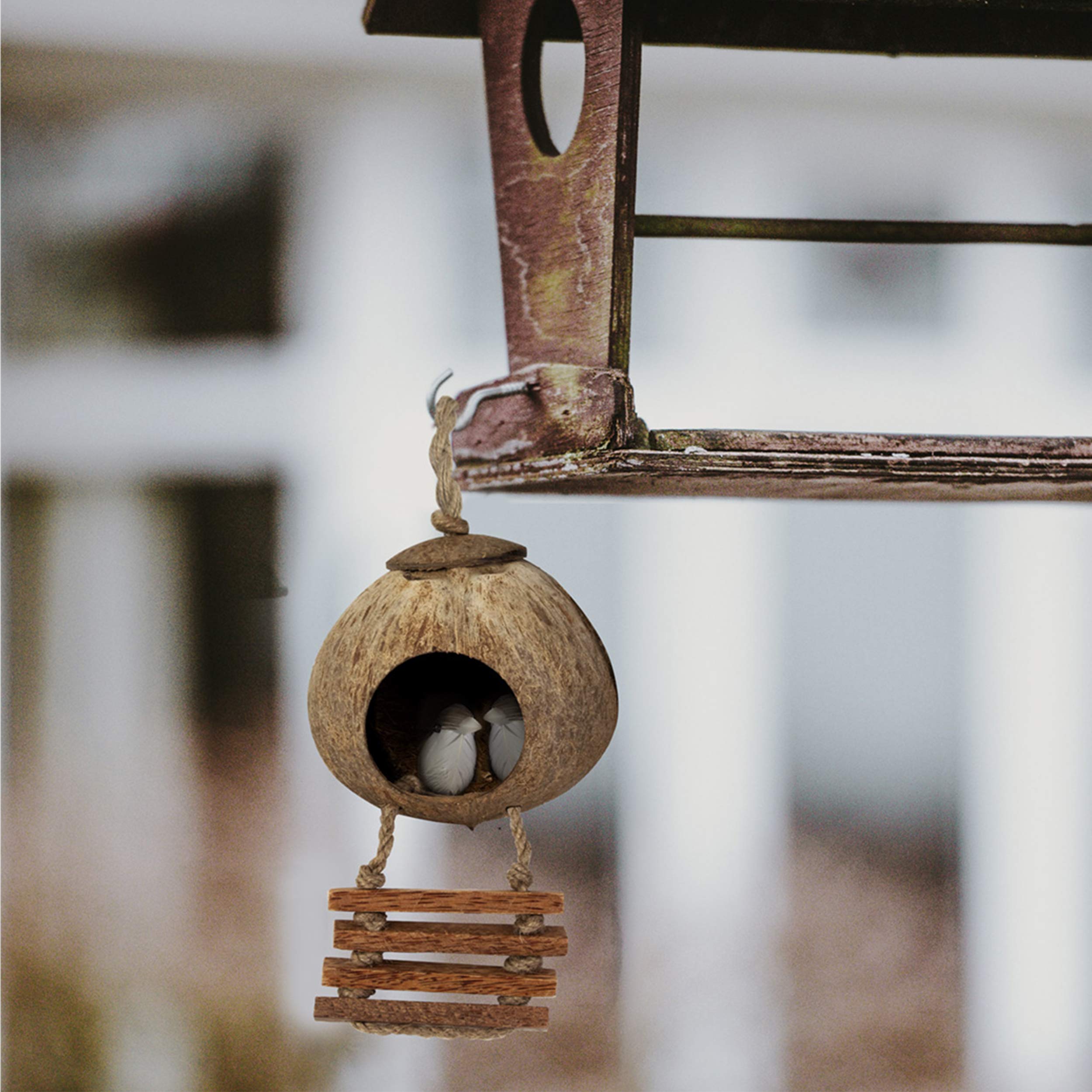 Buy Coconut Hanging Bird Nest House Cage Toys Budgie Bed Natural
