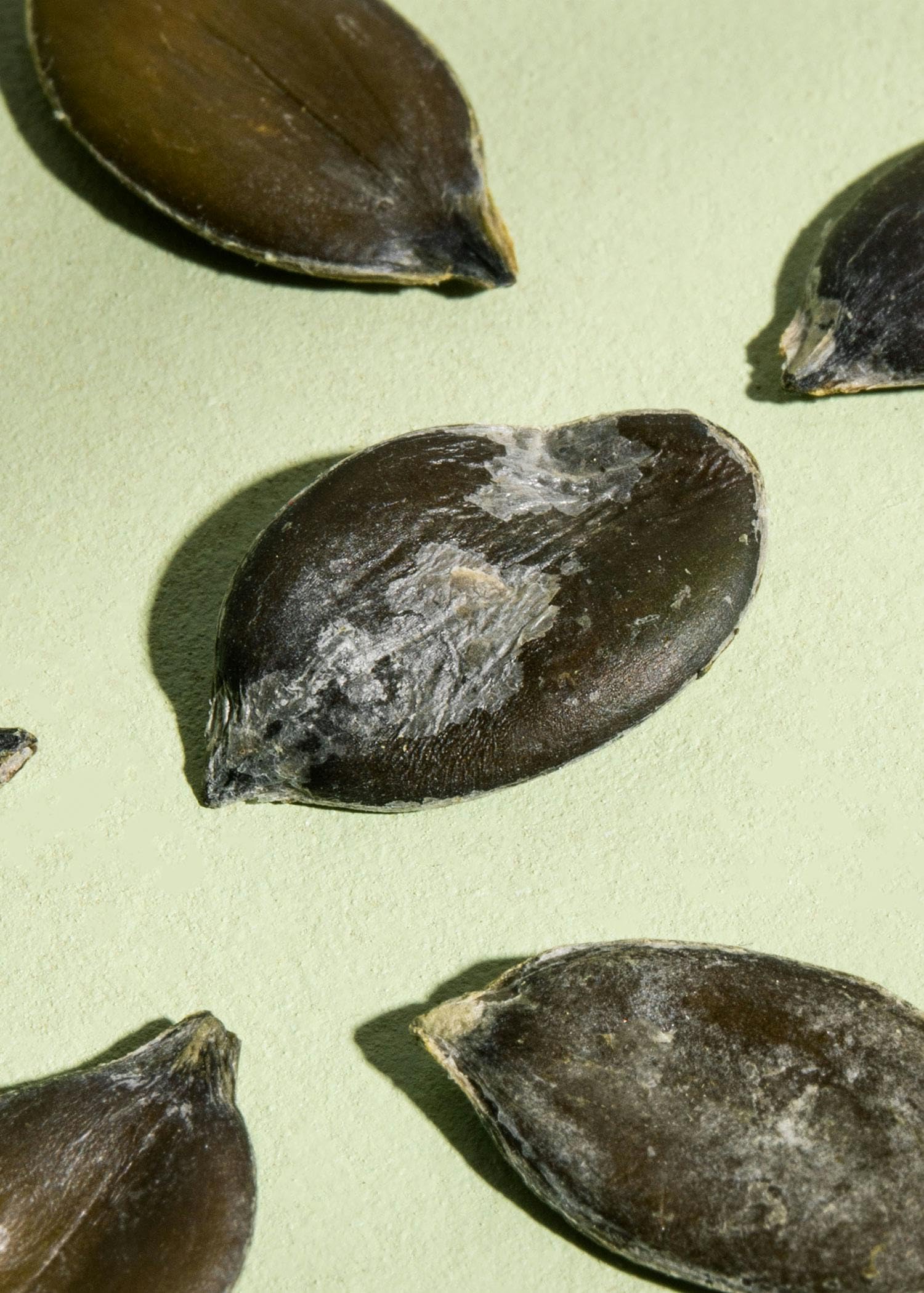 KoRo - Graines de courge de Styrie rôties et salées 1 kg - Graines de Styrie dans un paquet économique parfait comme snack ou sur la salade.
