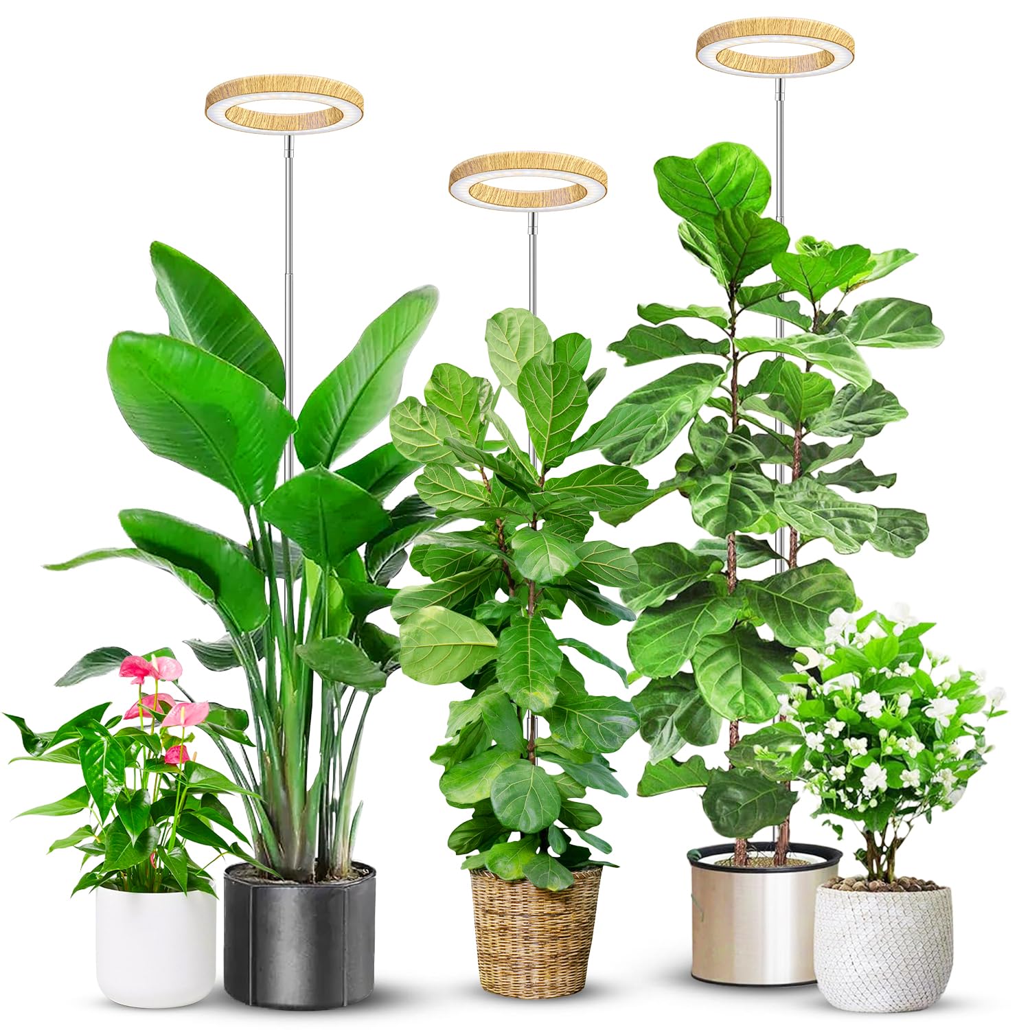 Aokrean Pflanzenlichter für den Innenbereich, 16 cm, Vollspektrum, Kunstholzmaserung, Wachstumslampe, 80 LEDs, höhenverstellbar, 25,4 cm - 165,1 cm, 6/12/16H Timer, 3 optionale Spektren, 5