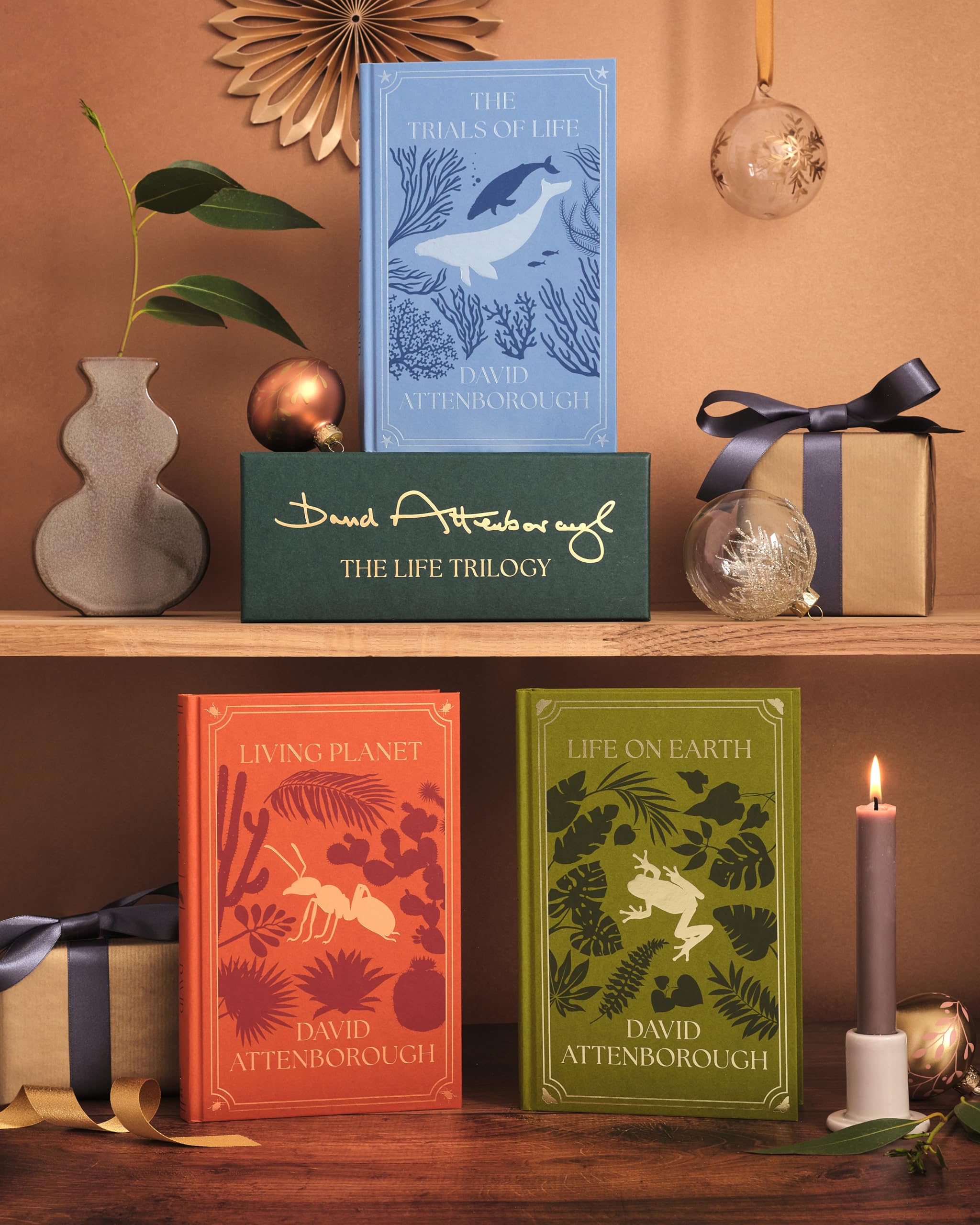 The Life Trilogy Boxset: The Greatest Story Ever Told