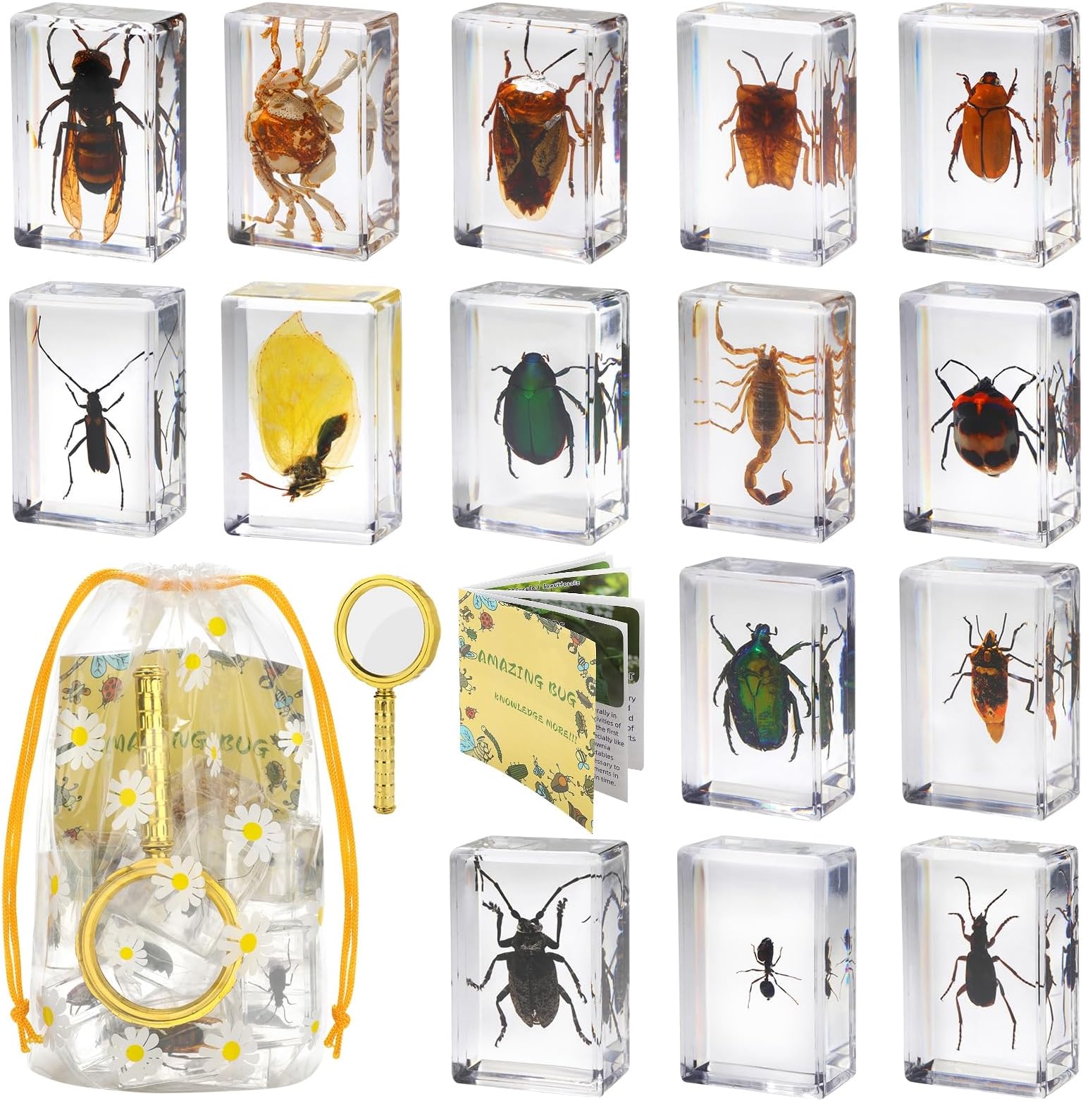 15 Real Insect Resin Specimens Set - Various Real Bug Specimens in Resin for Science Education, Classroom Biology, Bug Observation Kit with Storage Bag, Magnifying Glass & Instructions​