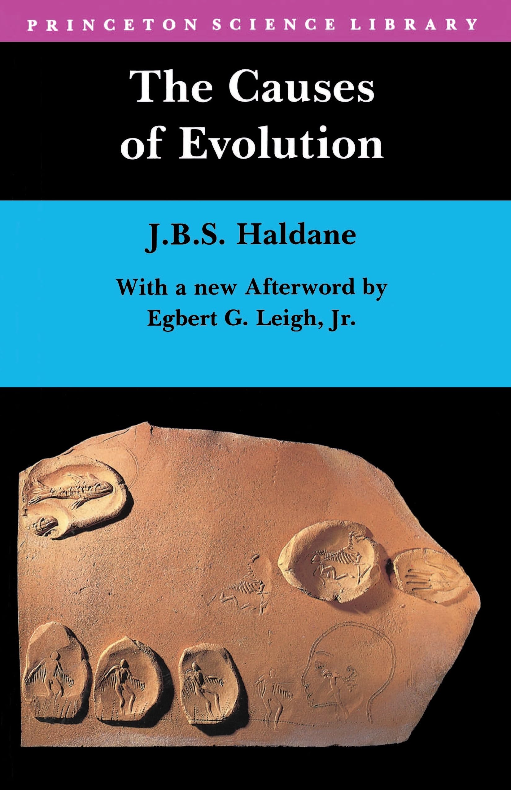 The Causes of Evolution (Princeton Science Library): 5