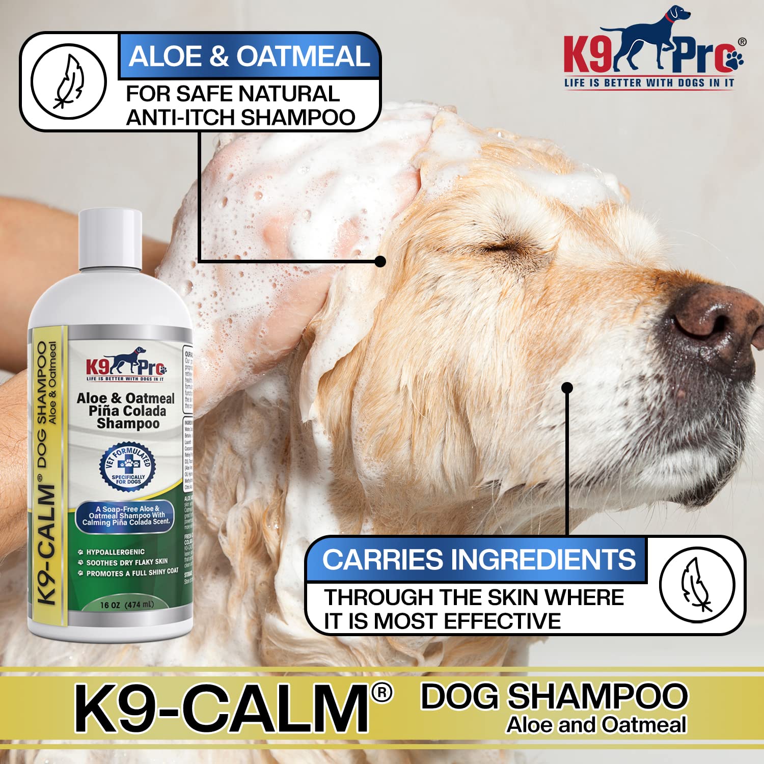 Whats A Good Smelling Dog Shampoo