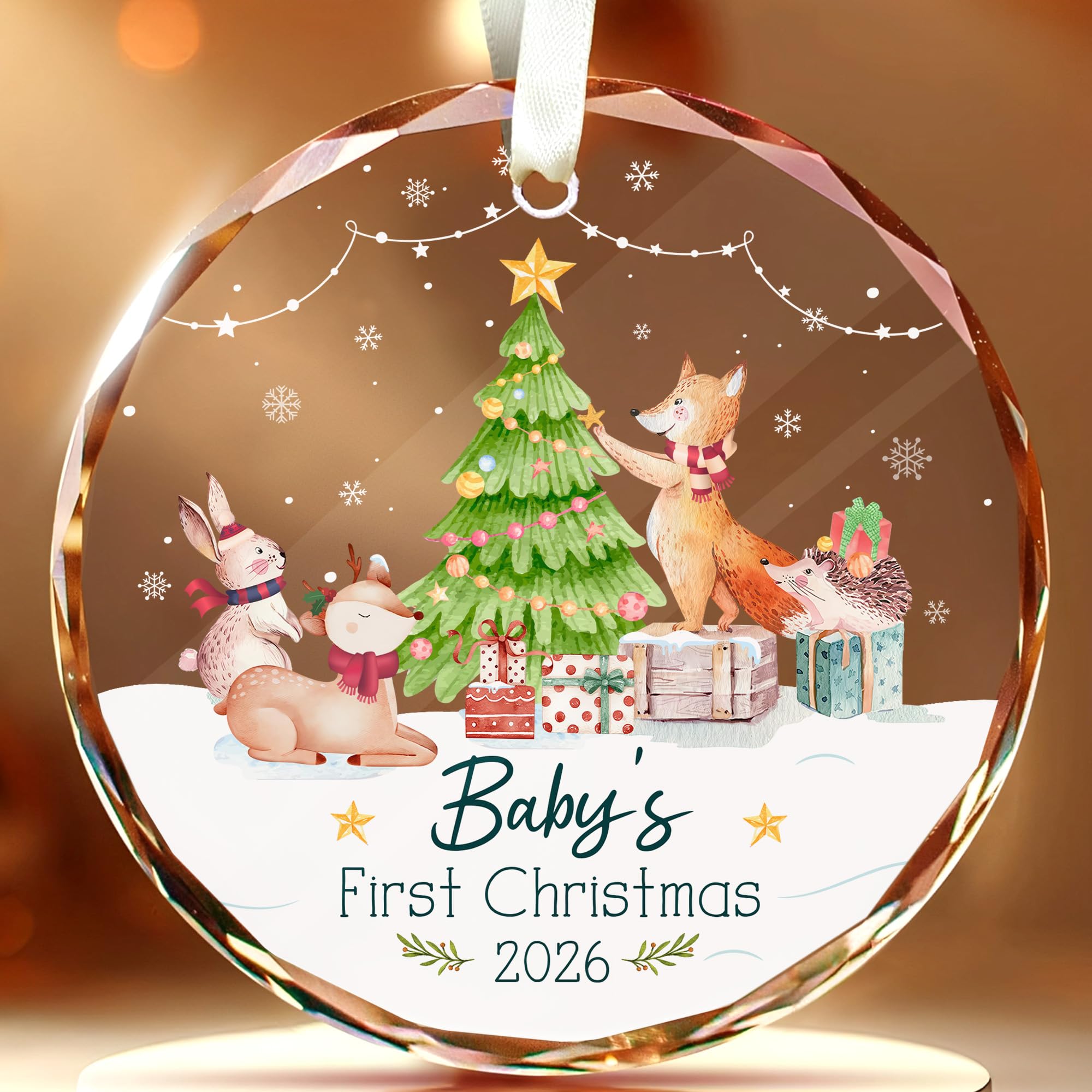 Amazon.com: Baby's First Christmas Ornament 2026, Newborn Baby