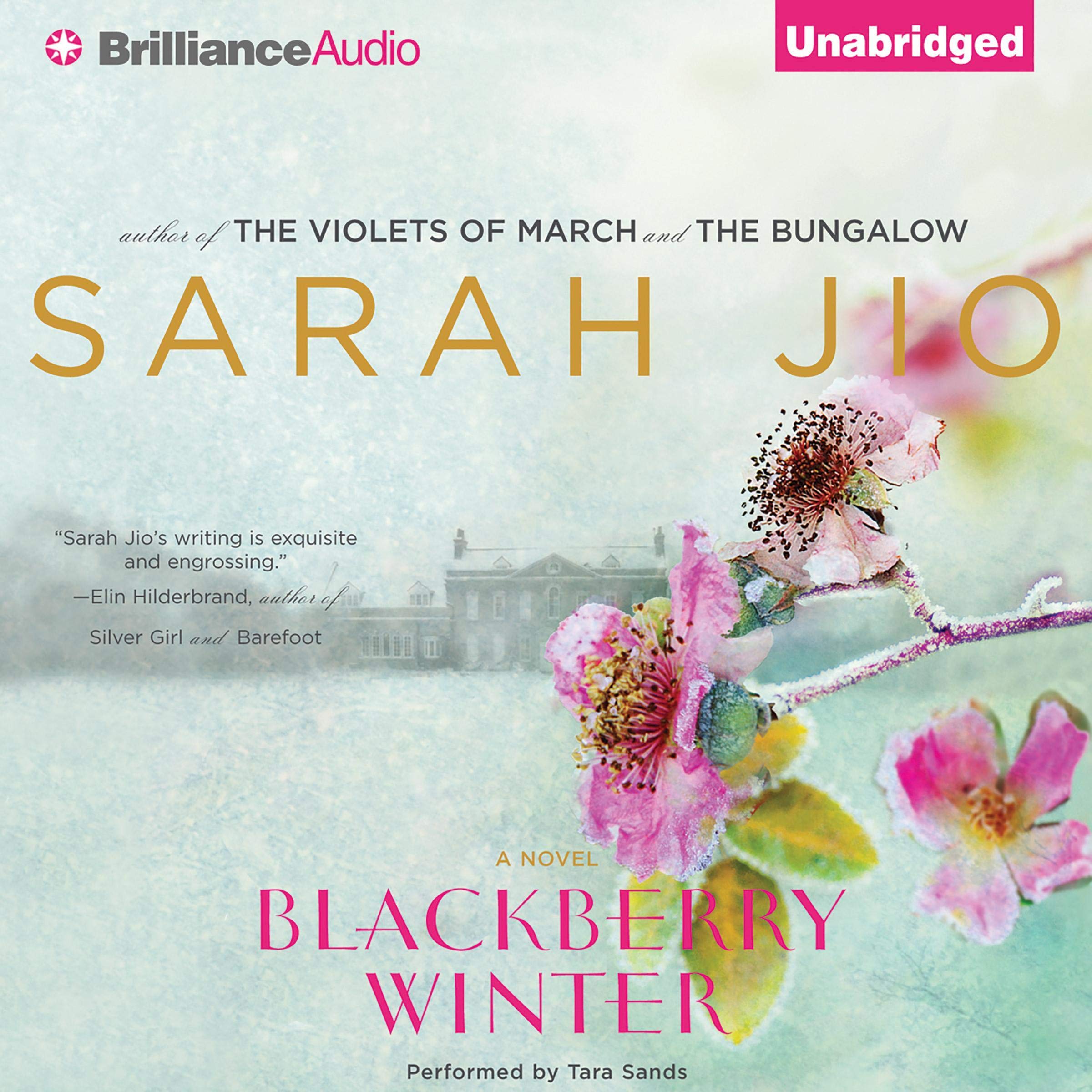 Cover art for Blackberry Winter