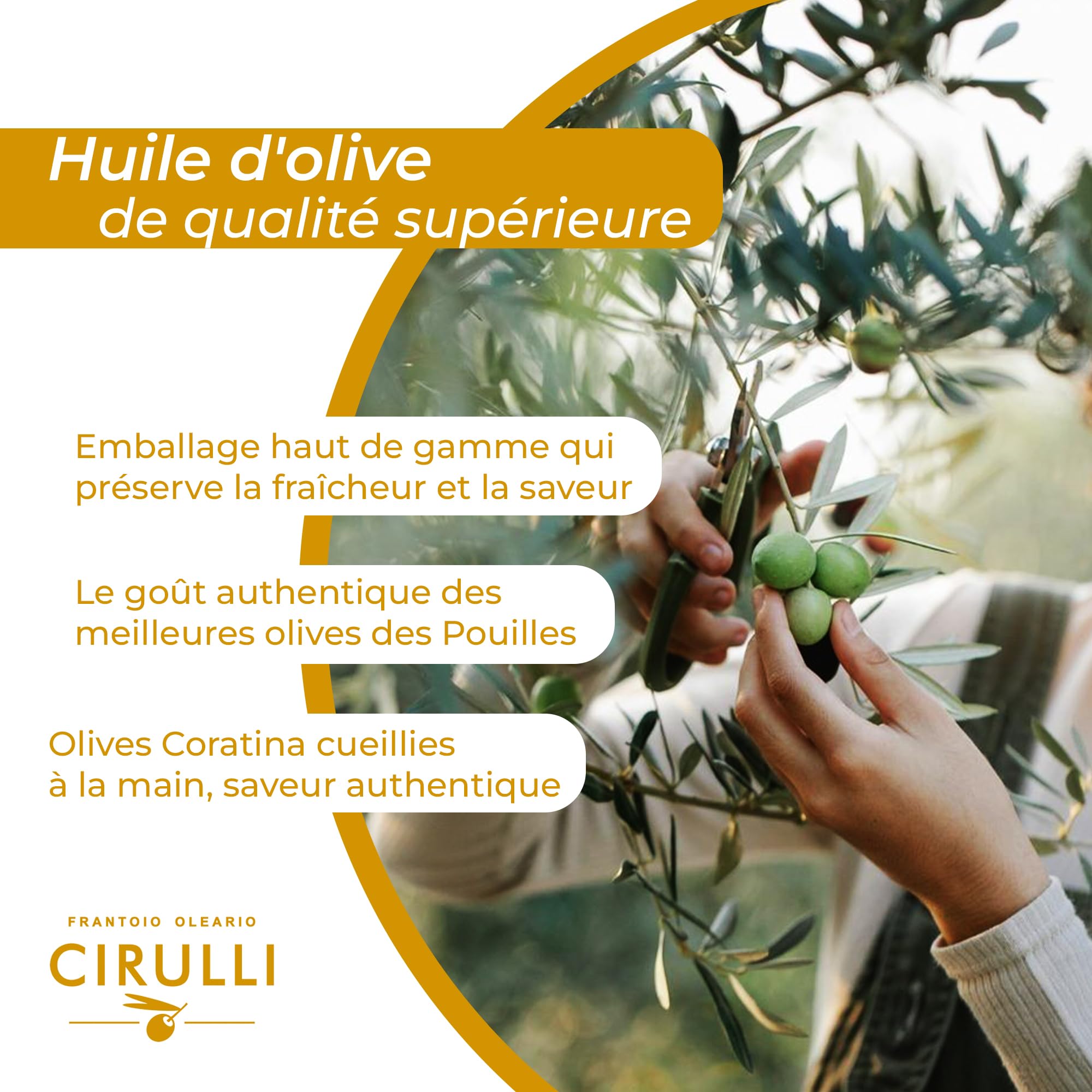Cirulli Huile d'Olive Extra Vierge Bio-3L- Boîte - Récolte Naturelle-Huile d'Olive Italienne de Qualité Supérieure-Brut & Non Filtrée - Sans Additifs-Goût Bio Exceptionnel avec Arôme Fruité