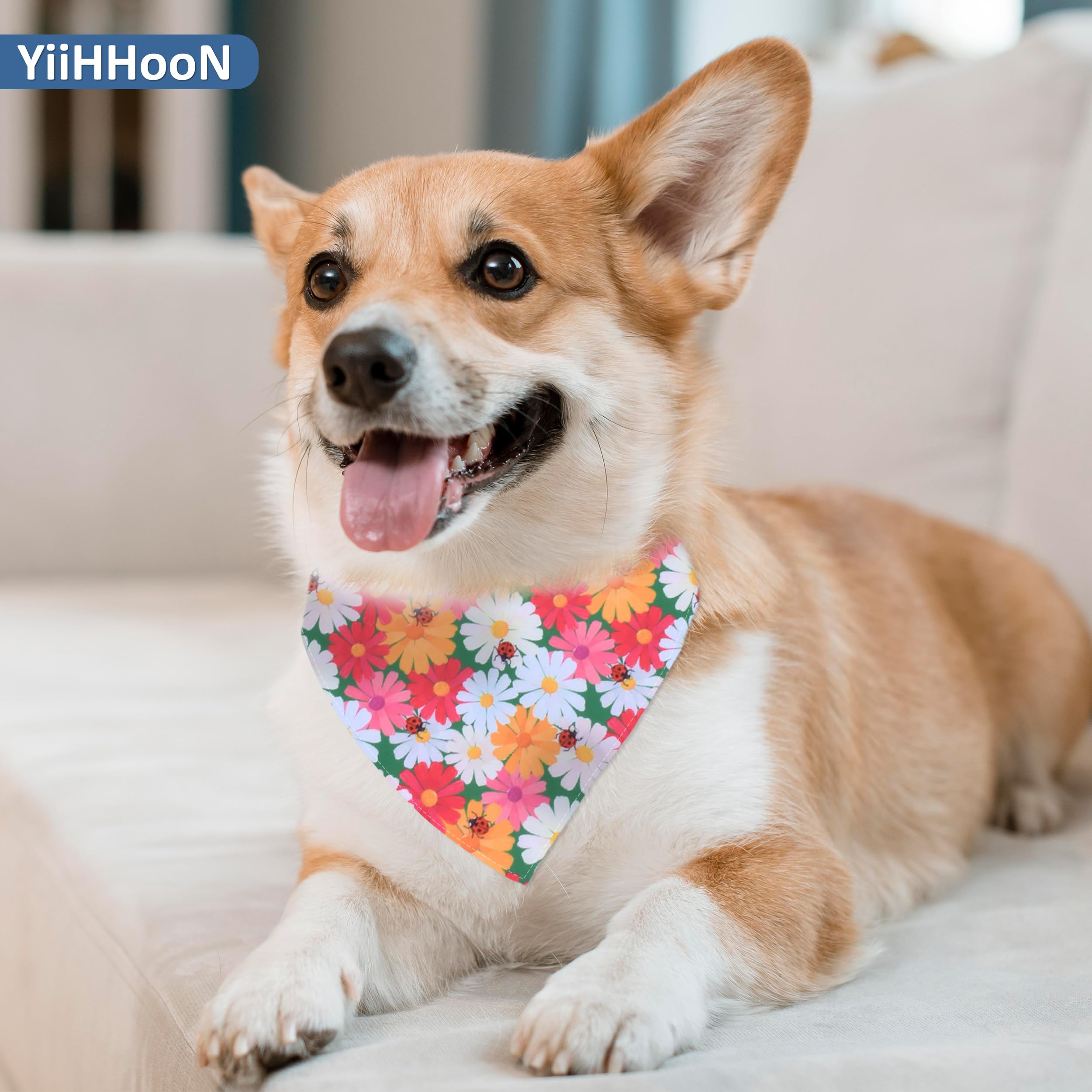 Hunde Bandana Kopftücher, 6 Stück Hundehalstuch und 6 Stück Stern Haarspangen, Hundebandana Dreieckstuch Hundehalstücher Katzenhalstuch für Kleine Mittel Hunde Katzen