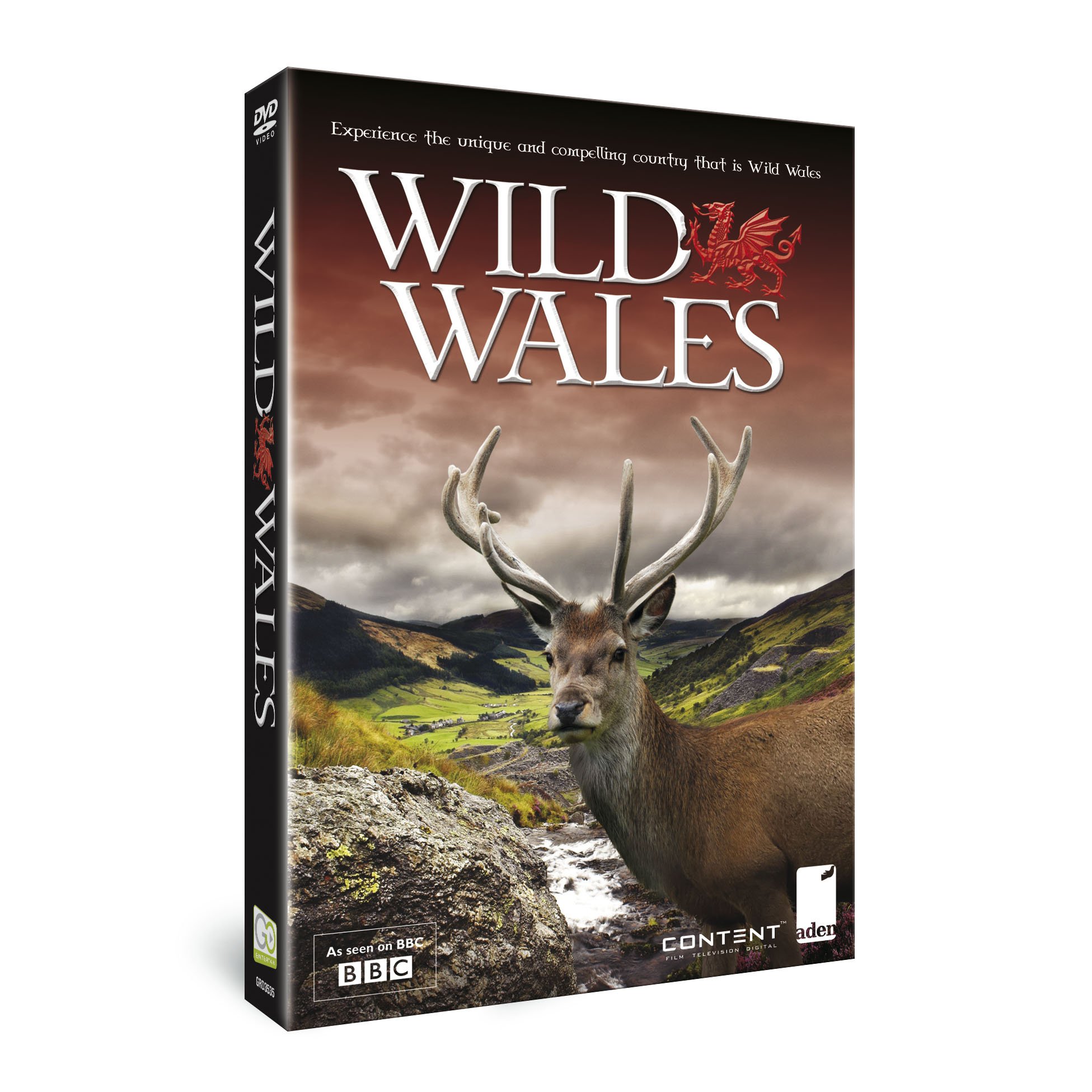 Wild Wales [DVD]: Amazon.co.uk: DVD & Blu-ray 