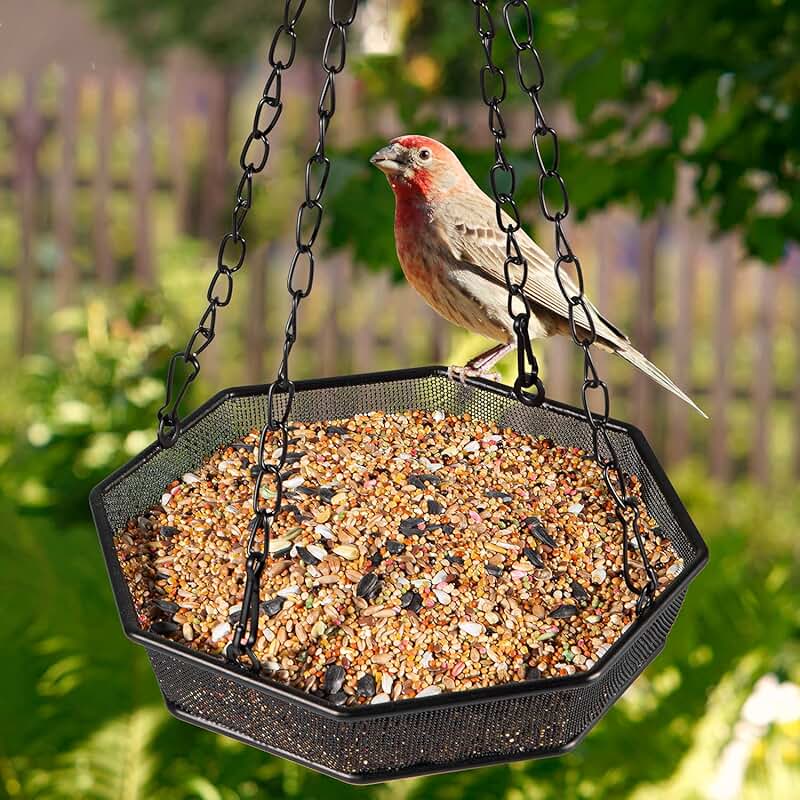 hanging platform bird feeder