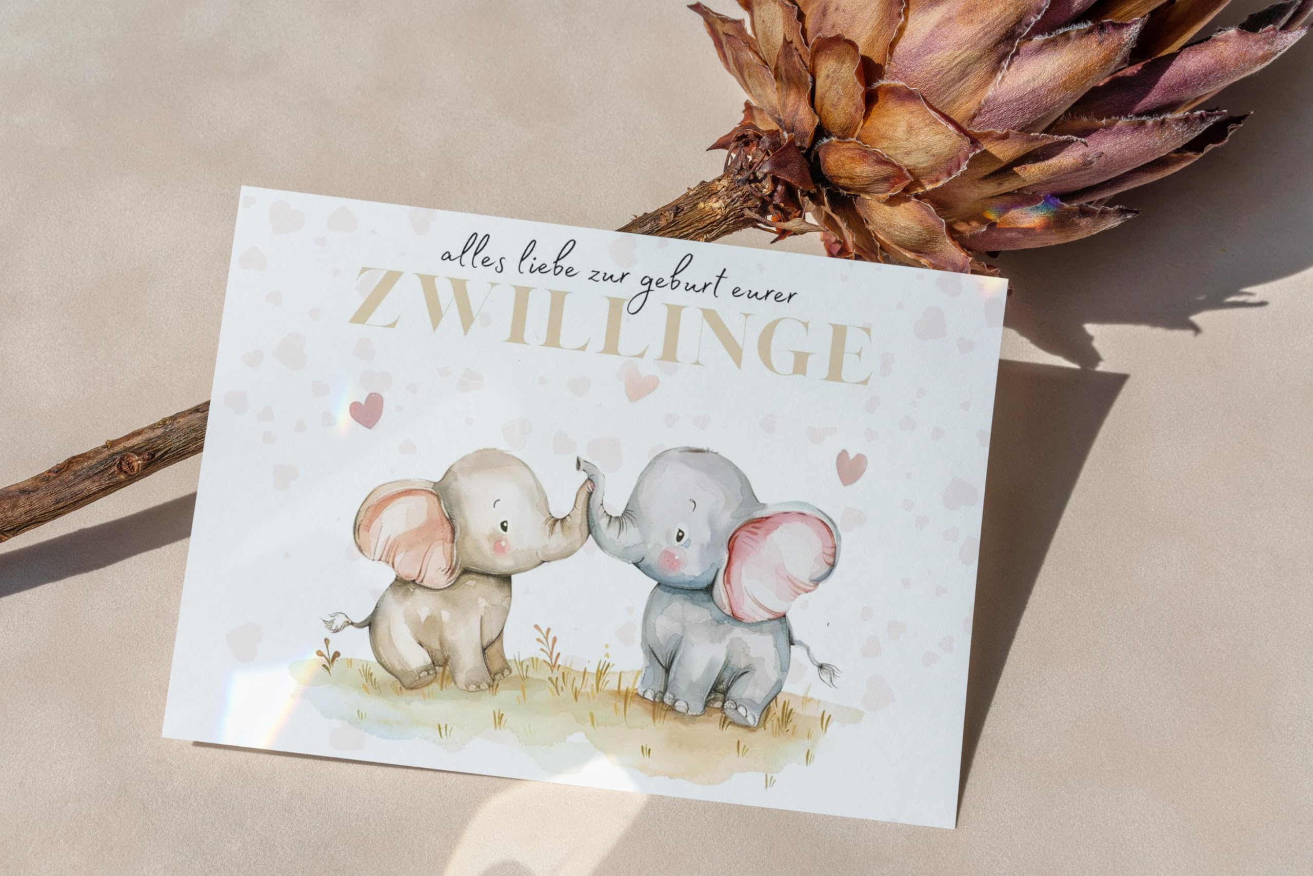 Bsb Biglietto Di Nascita Gemelli Con Cavallo A Dondolo – Cartolina Con Busta, 11,5x17 Cm, Certificato FSC