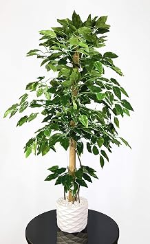 Yapay Benjamin A ac  110cm Sarma k Detayl